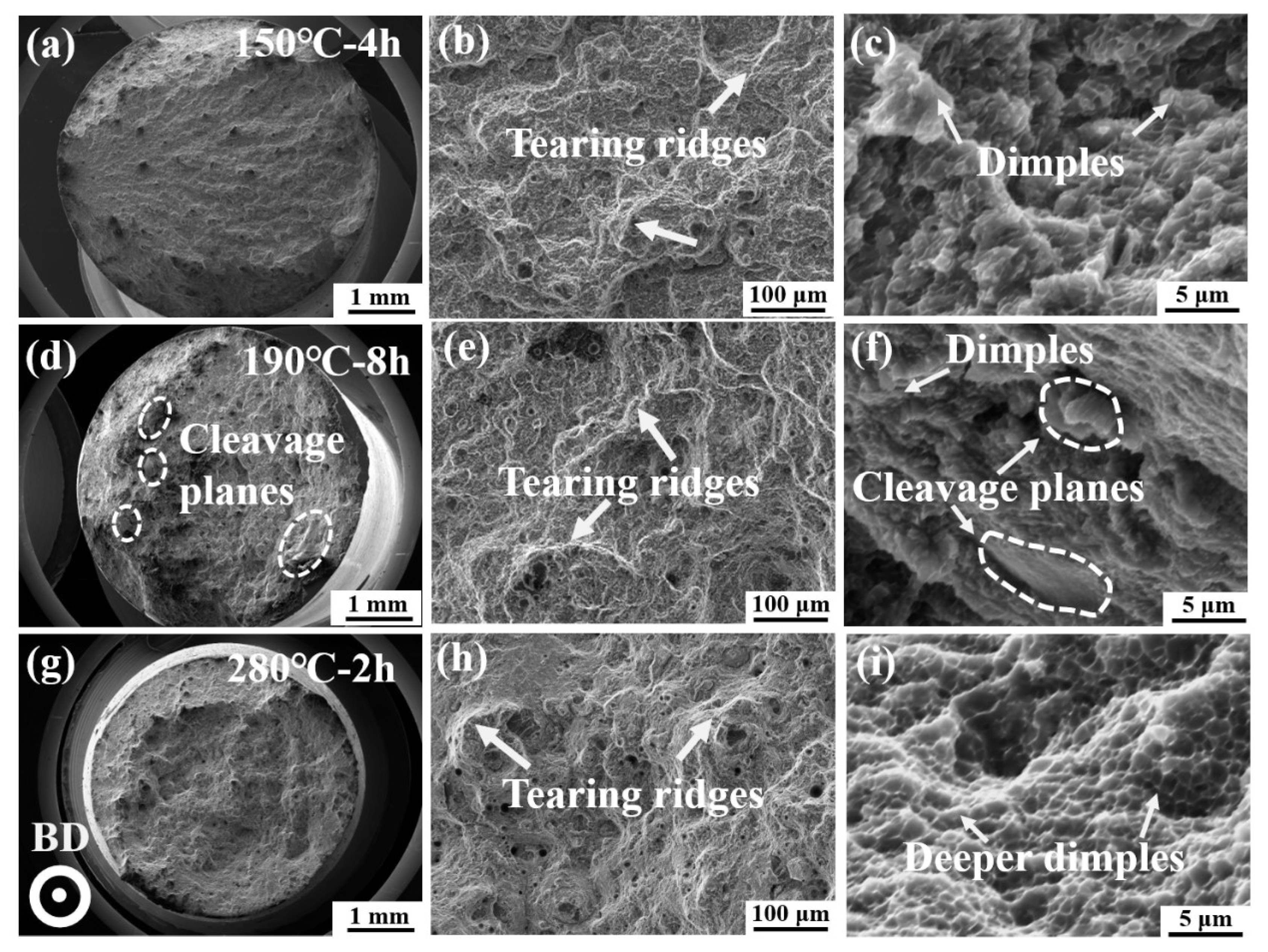 Coatings 15 00780 g011