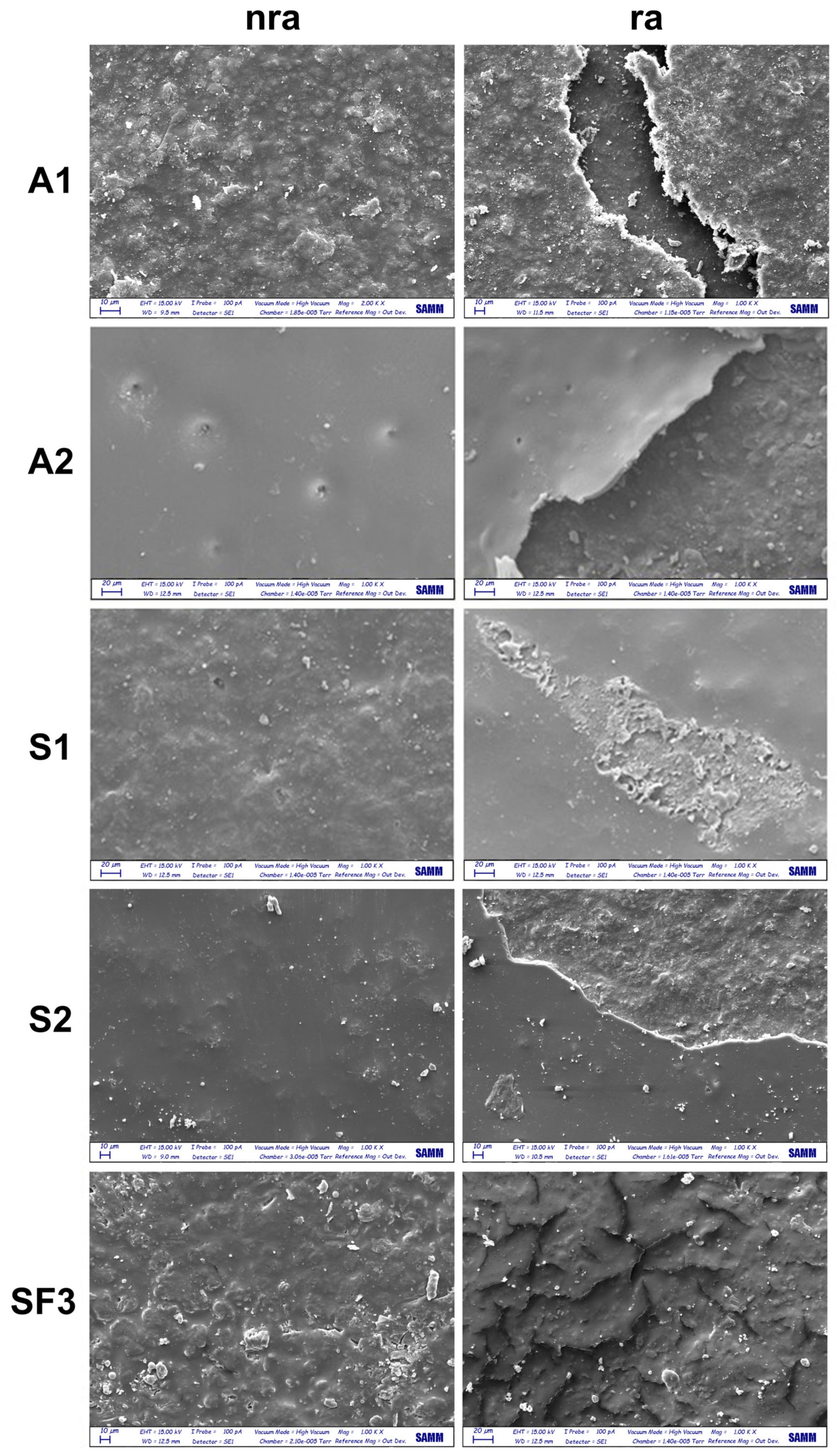 Coatings 15 00924 g007 Coatings 15 00924 g007