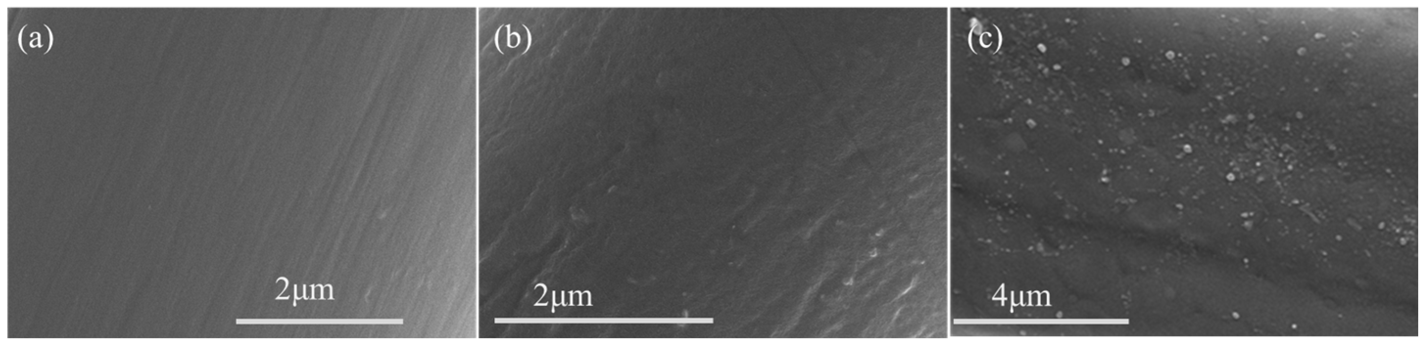 Coatings 15 00947 g005 Coatings 15 00947 g005