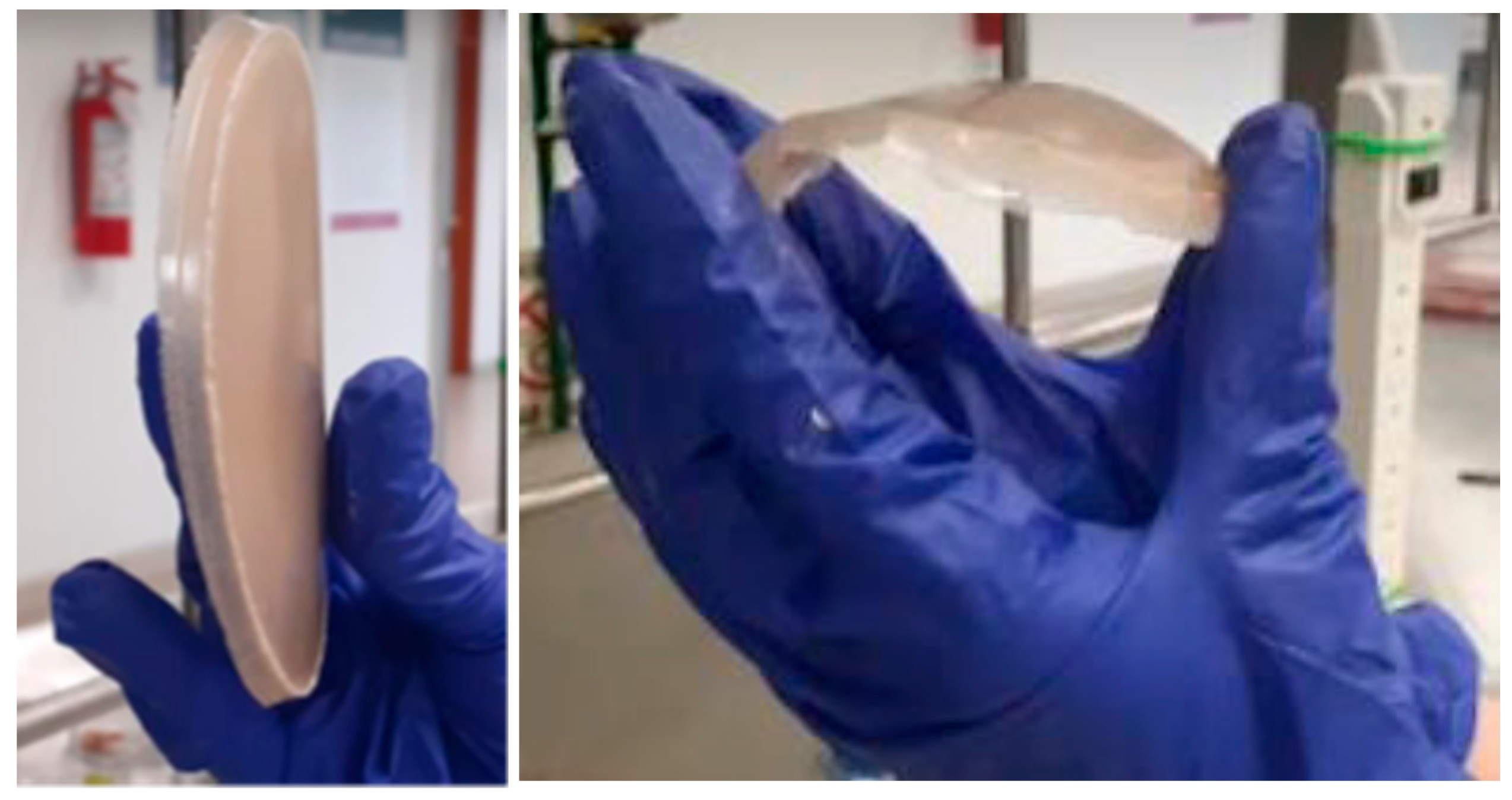 Coatings 15 00992 g001 Coatings 15 00992 g001