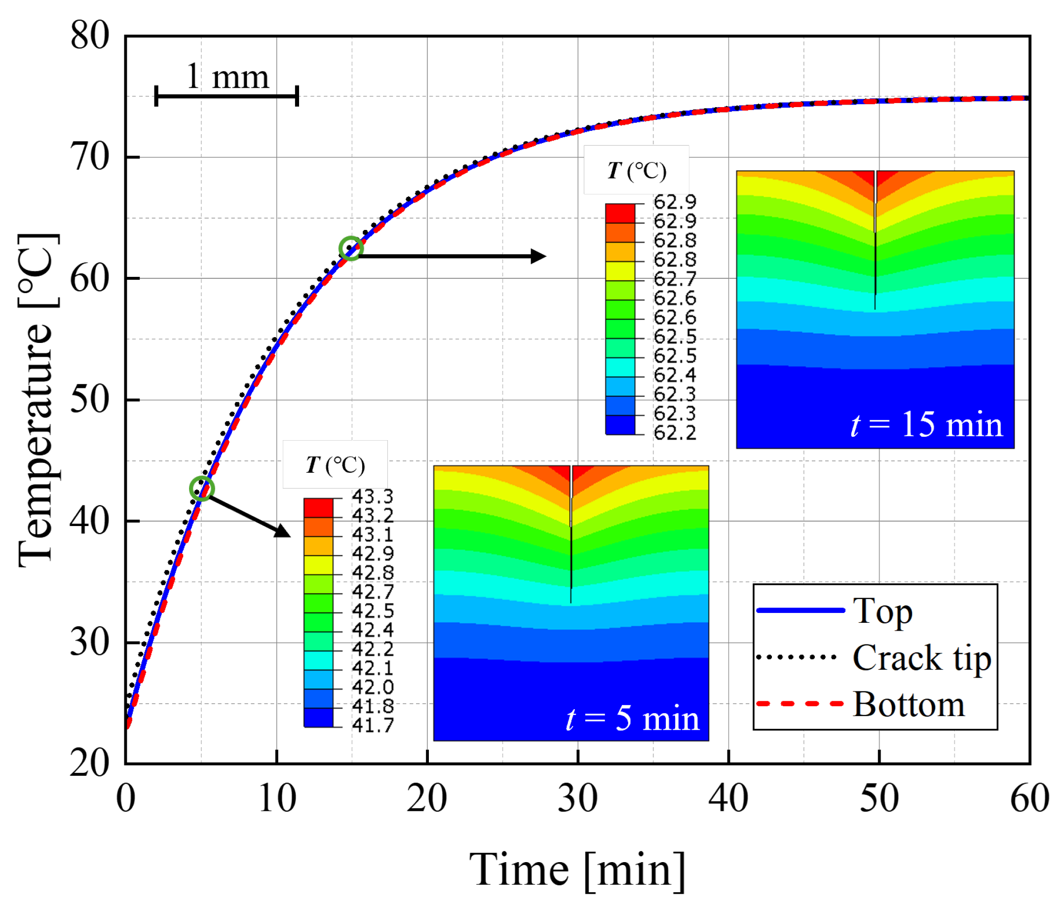 Coatings 15 01059 g005 Coatings 15 01059 g005