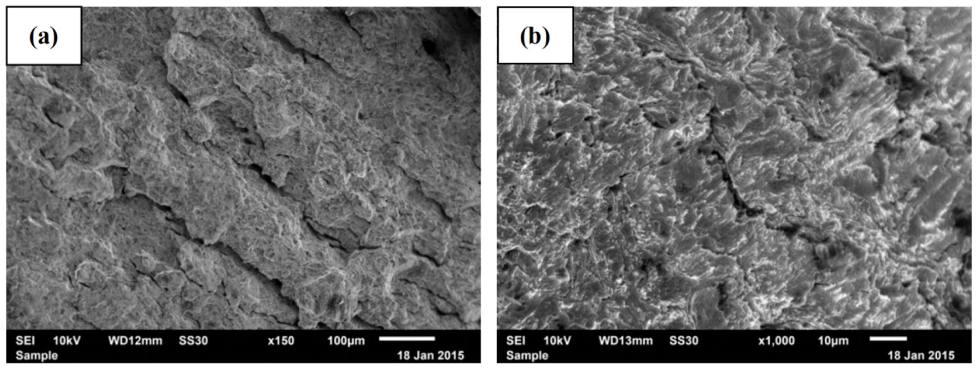 Coatings 15 01075 g011 Coatings 15 01075 g011