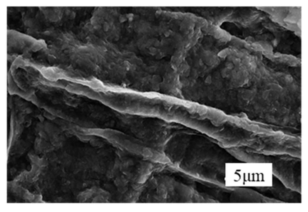 Coatings 15 01127 g005 Coatings 15 01127 g005