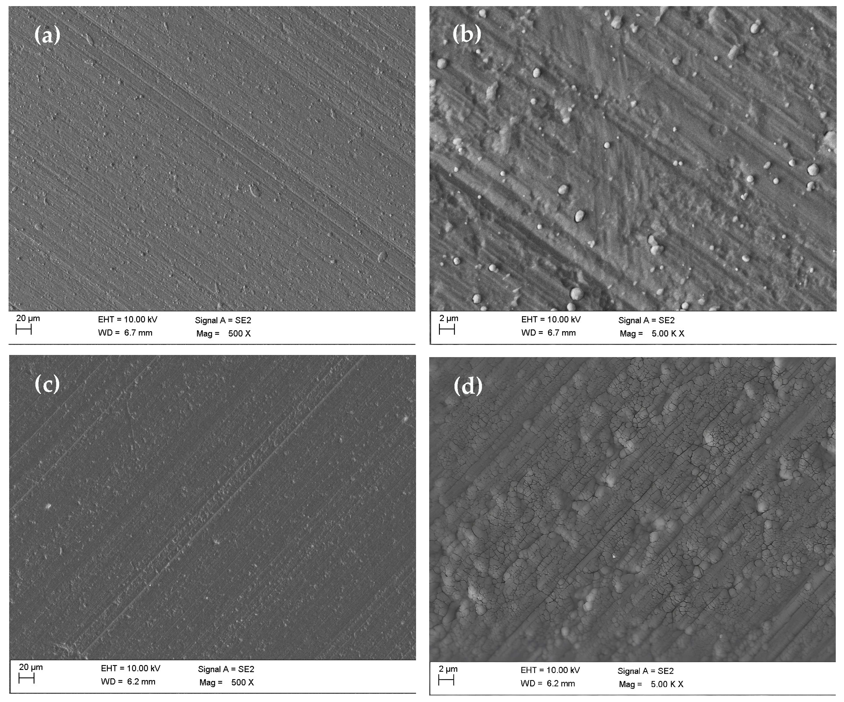 Coatings 15 01150 g002 Coatings 15 01150 g002