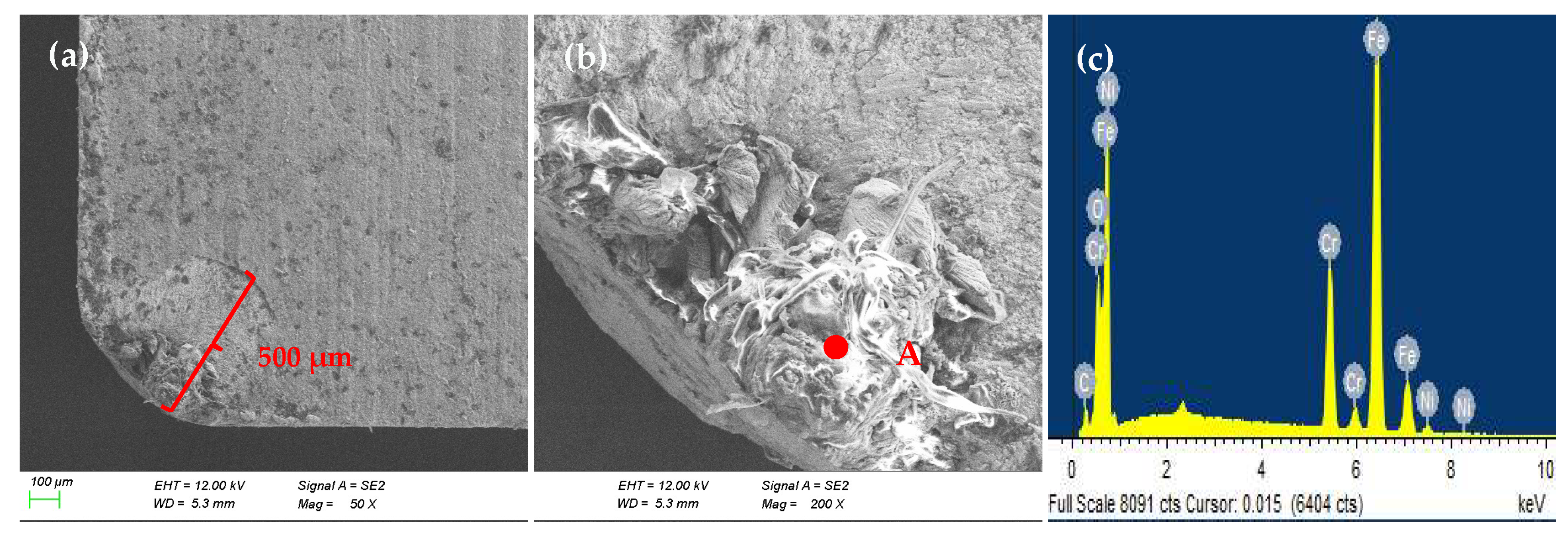 Coatings 15 01150 g009 Coatings 15 01150 g009