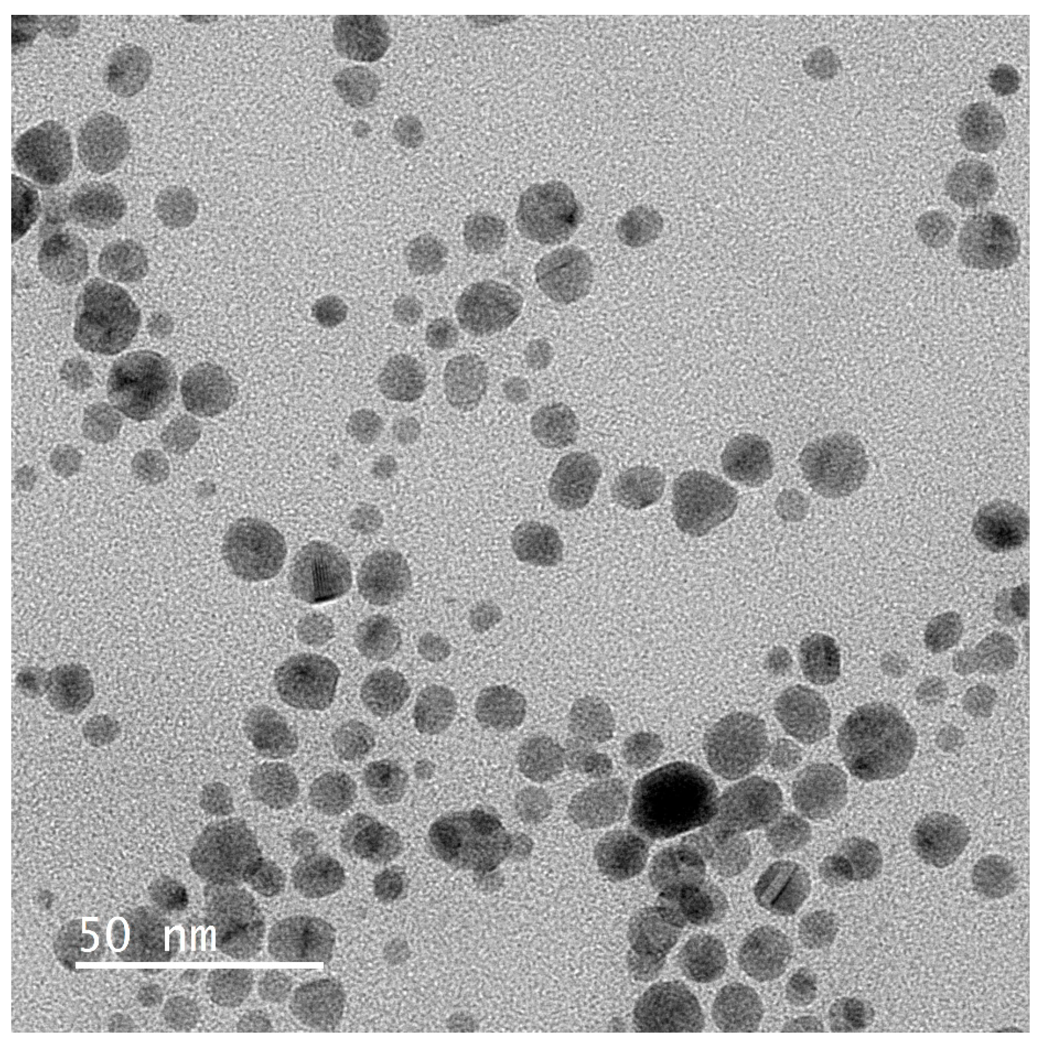 Coatings 15 01421 g003 Coatings 15 01421 g003