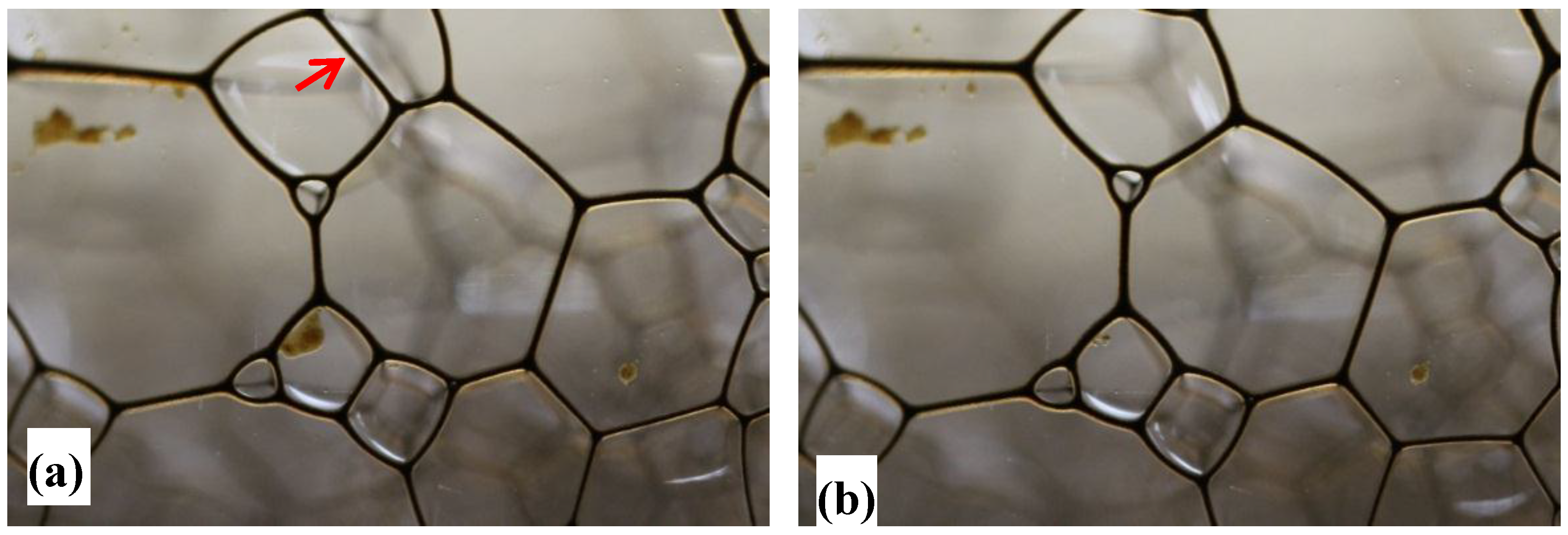 Colloids 02 00038 g006 Colloids 02 00038 g006