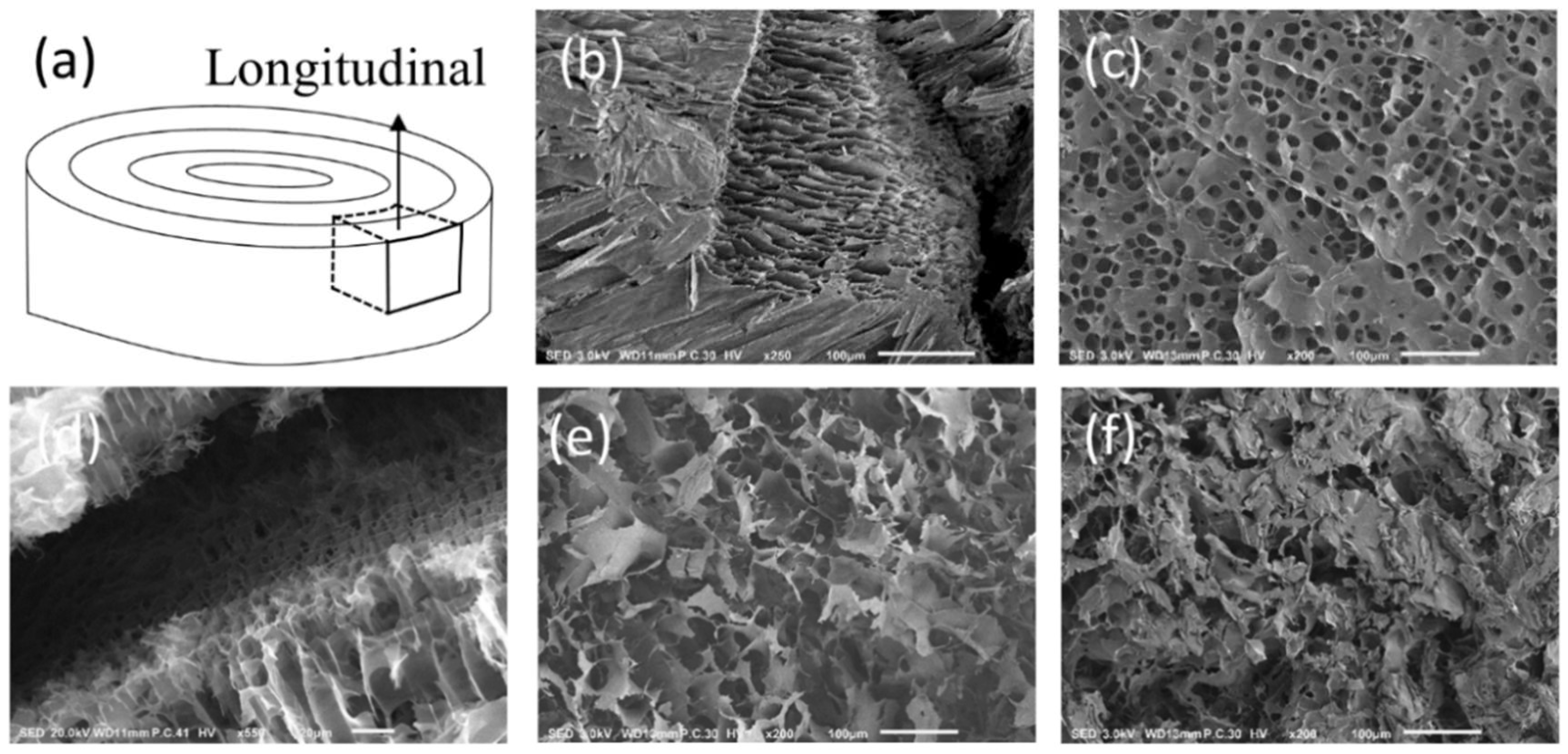 Colloids And Interfaces Free Full Text Direct Cryo Writing Of Aerogels Via 3d Printing Of Aligned Cellulose Nanocrystals Inspired By The Plant Cell Wall Html