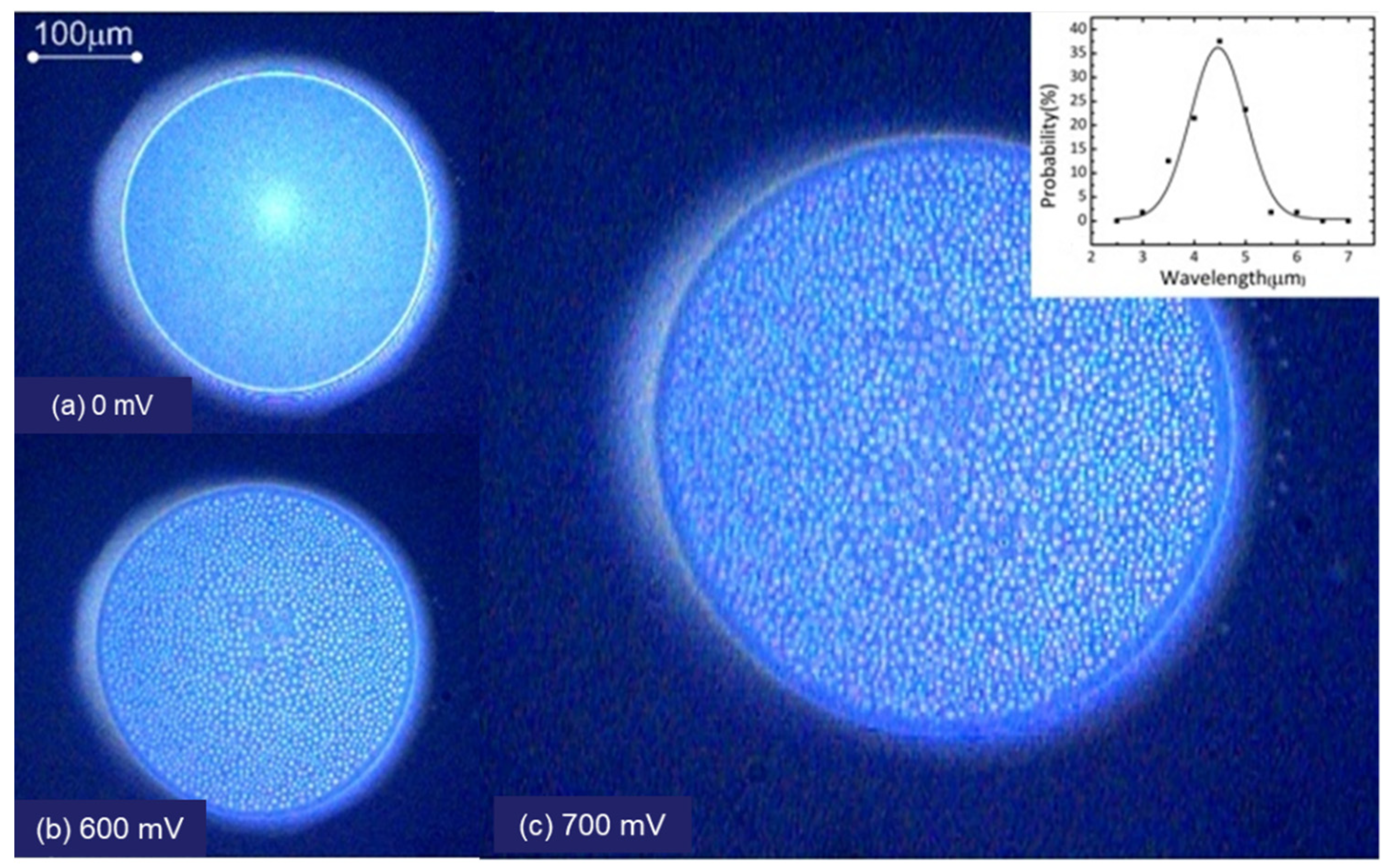 Colloids 05 00036 g002 Colloids 05 00036 g002