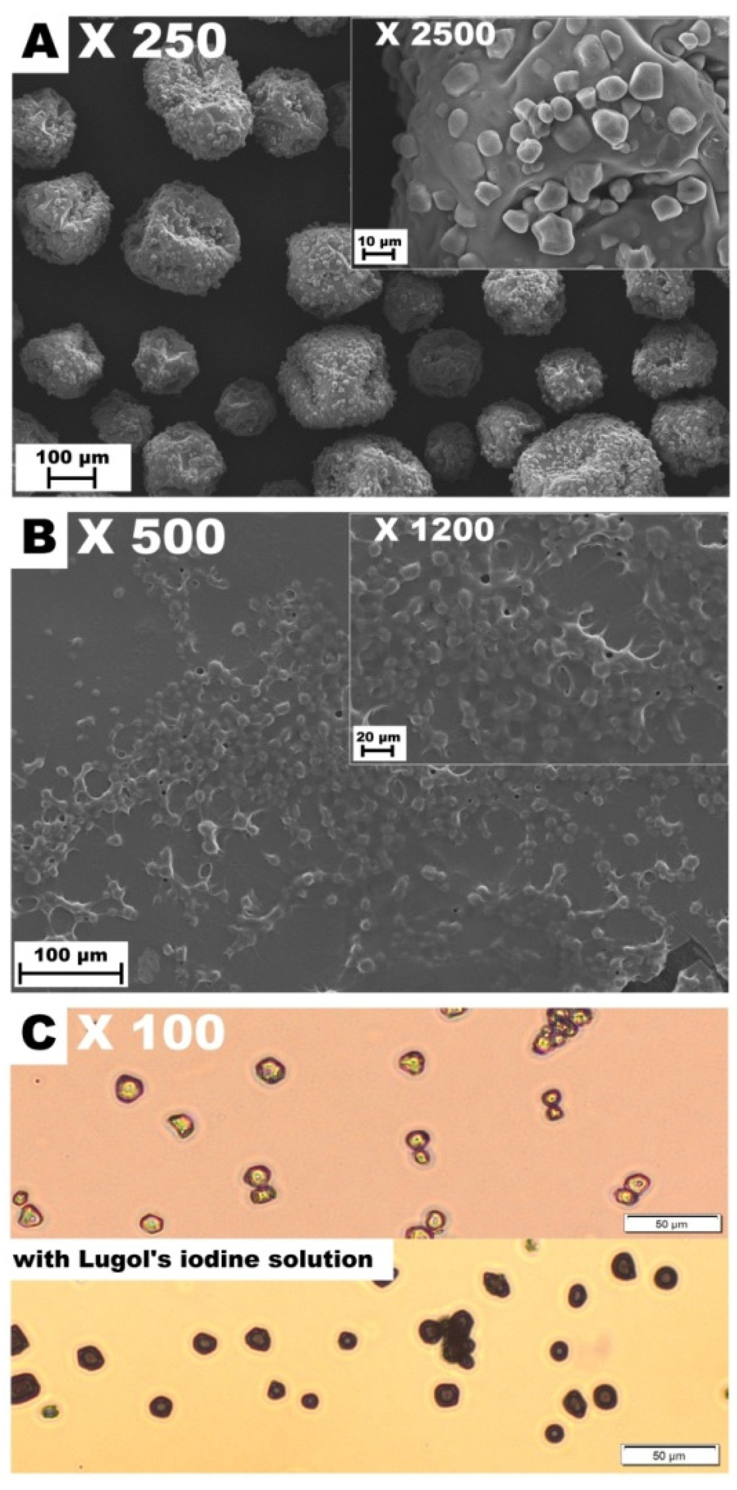 Colloids 05 00041 g002
