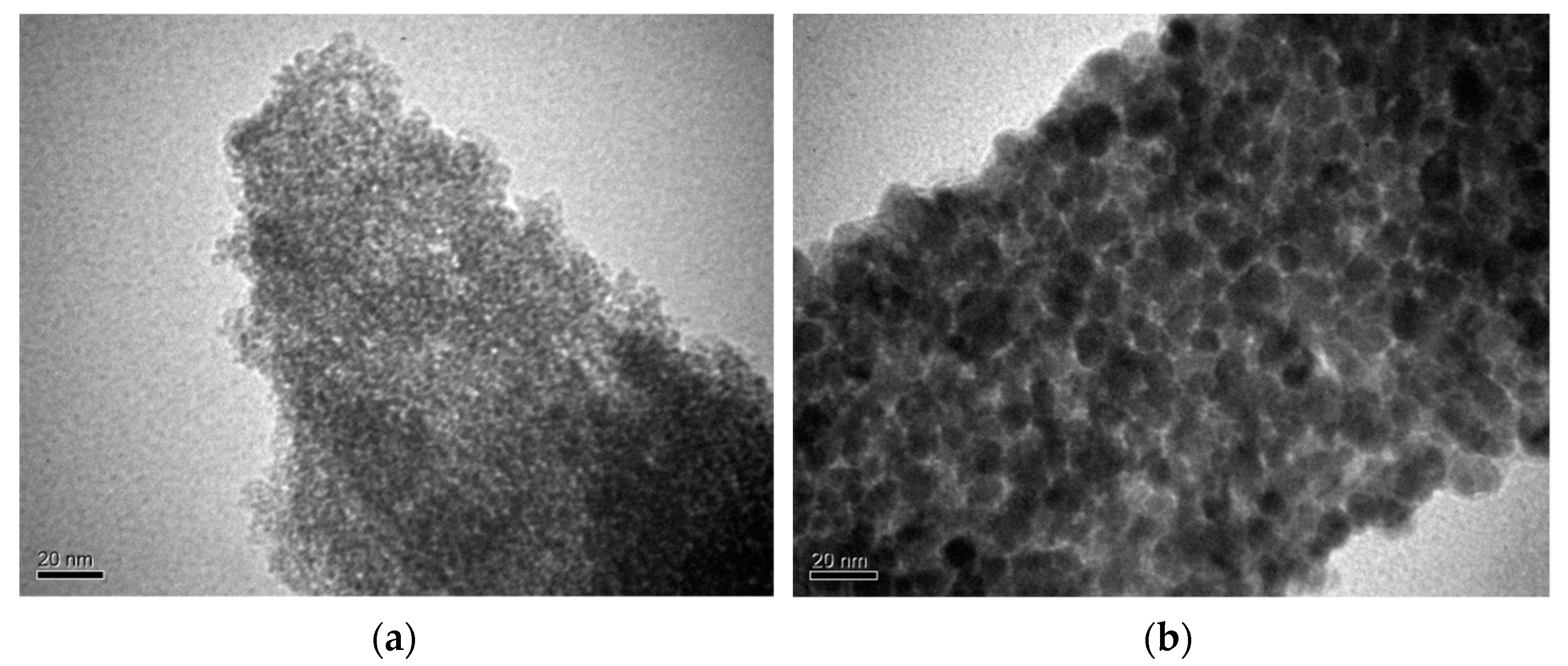 Colloids 06 00004 g002