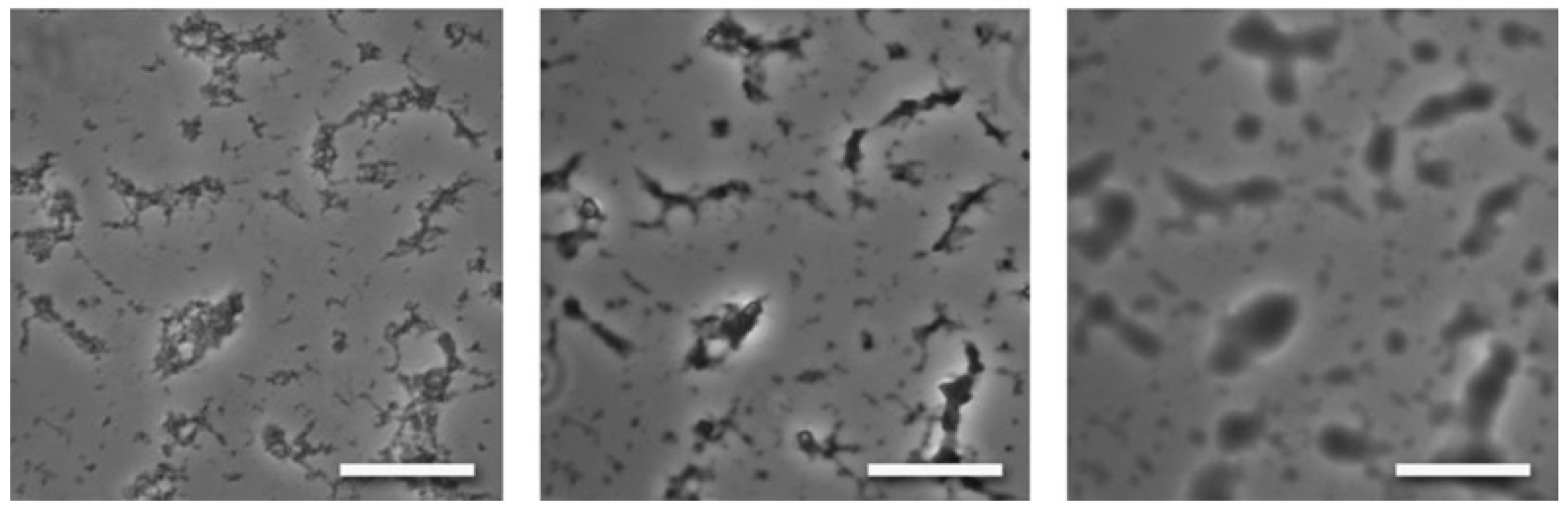 Colloids 06 00045 g002