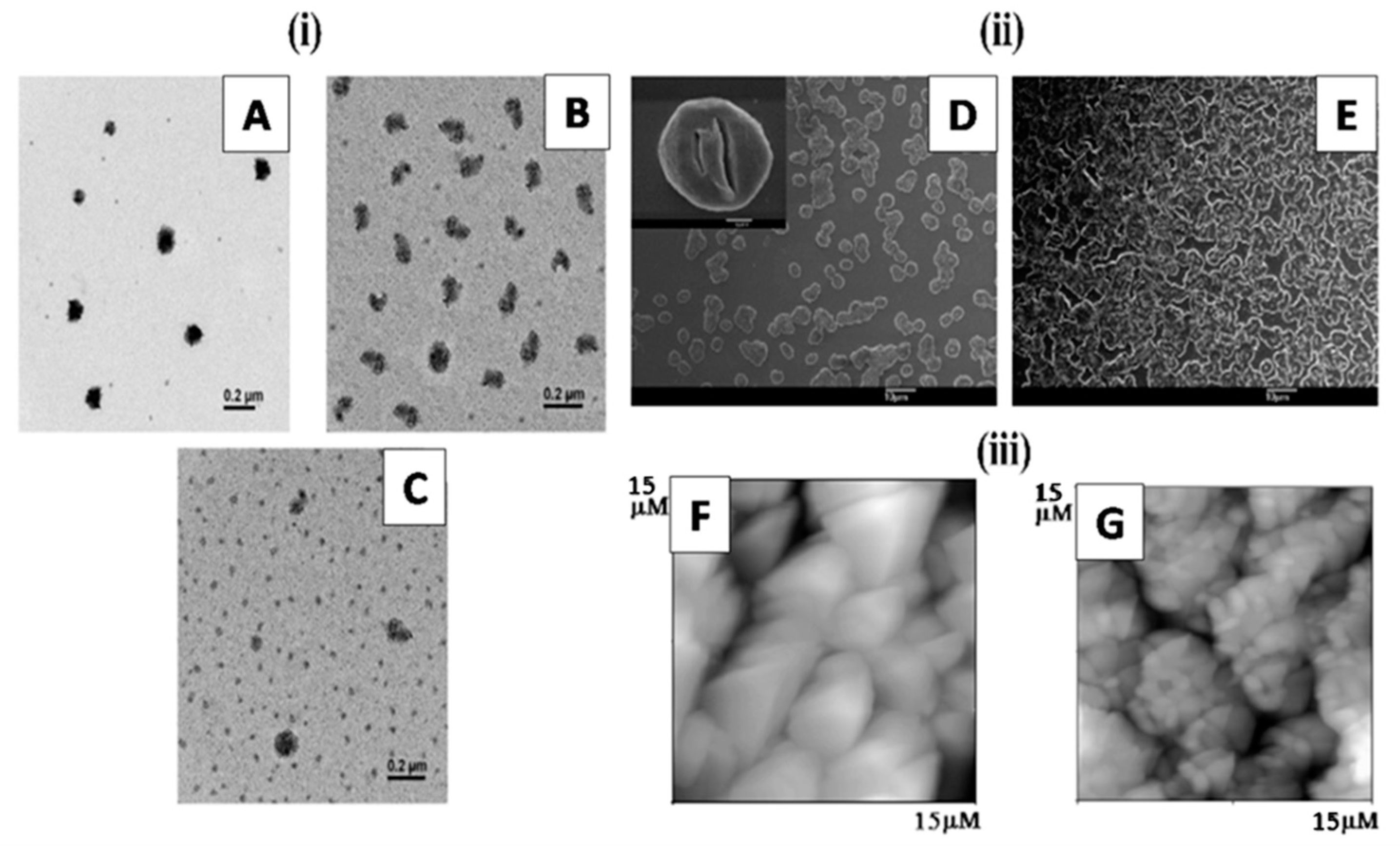 Colloids 06 00045 g010
