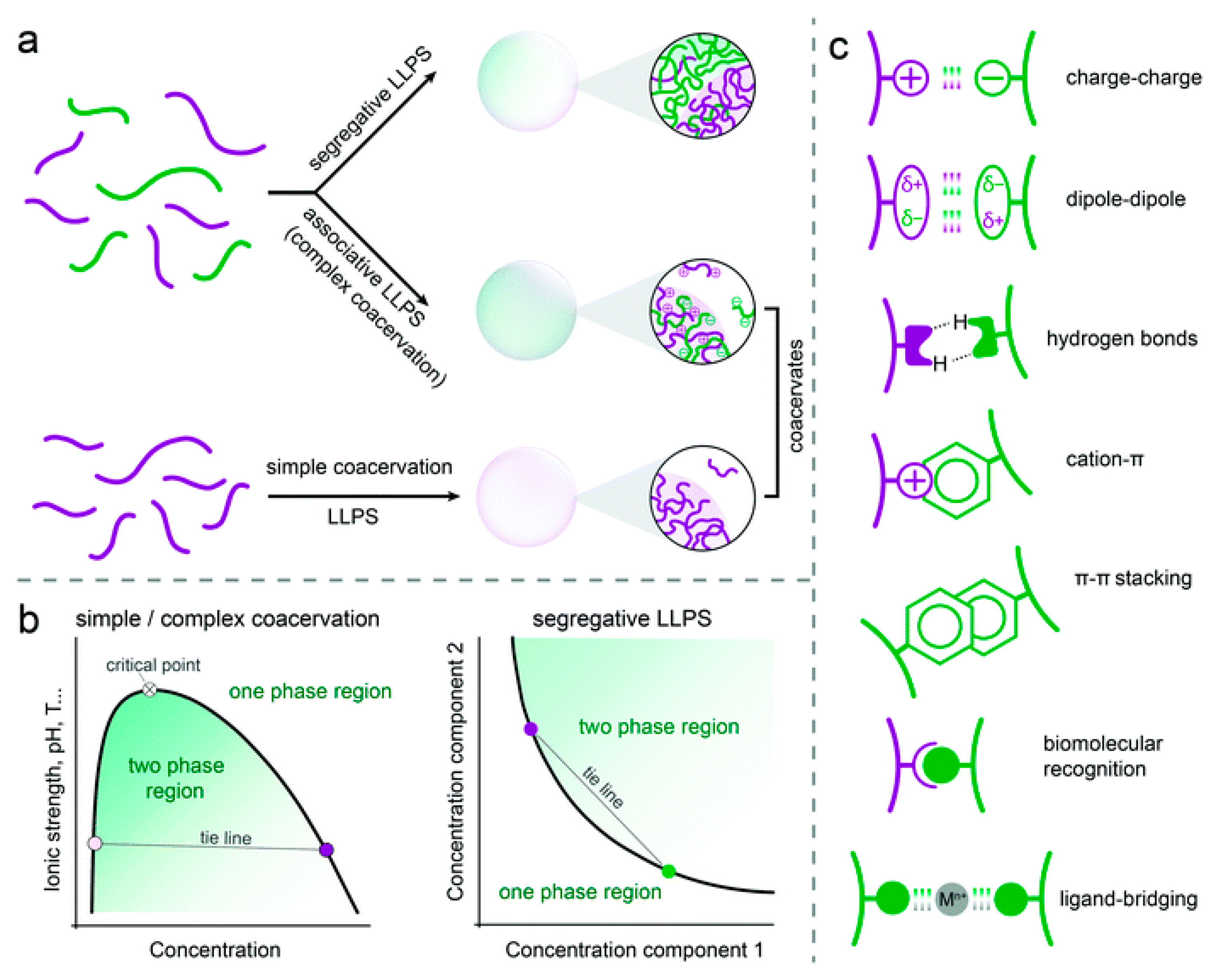 Colloids 06 00045 g012