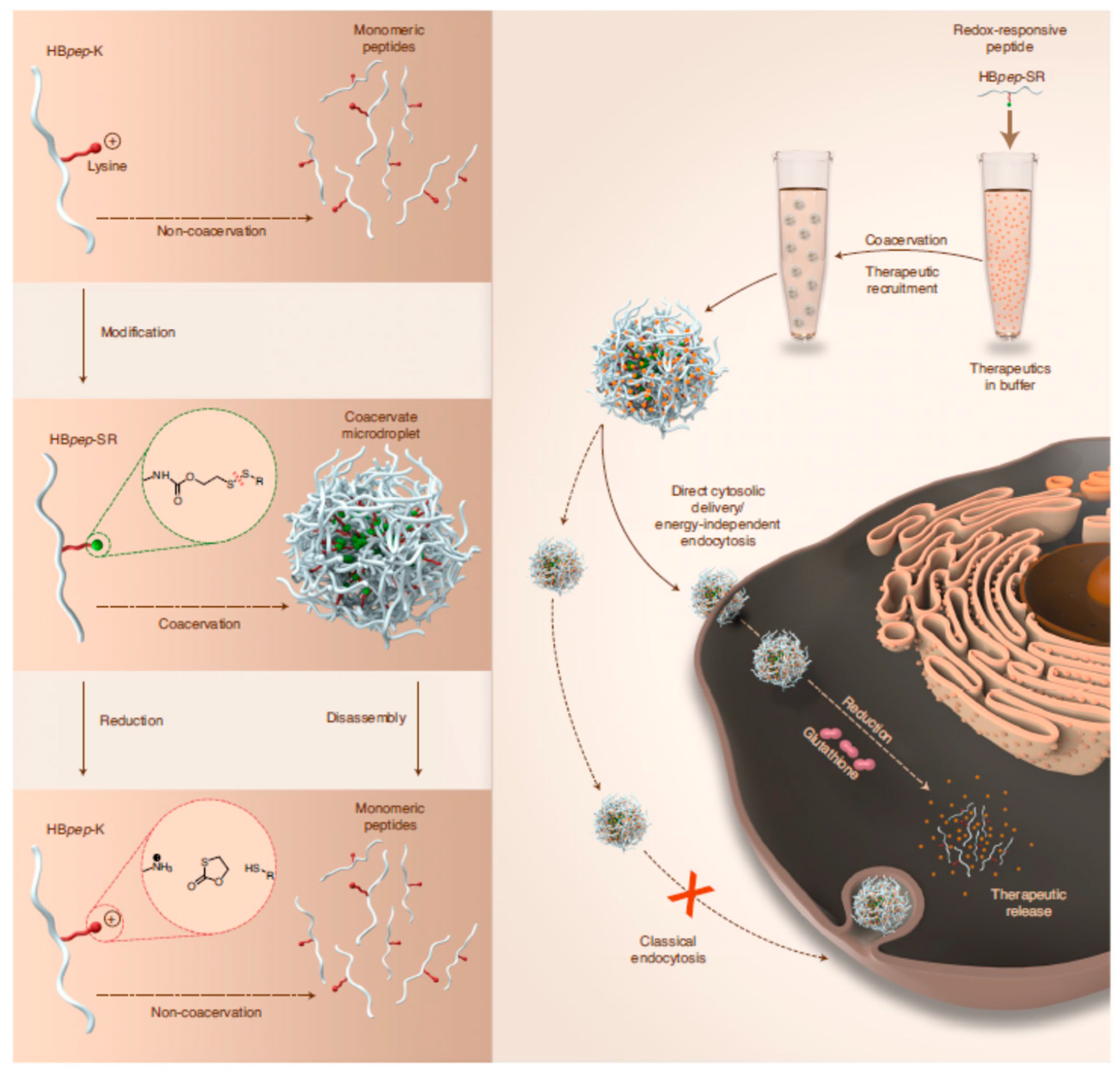 Colloids 06 00045 sch004