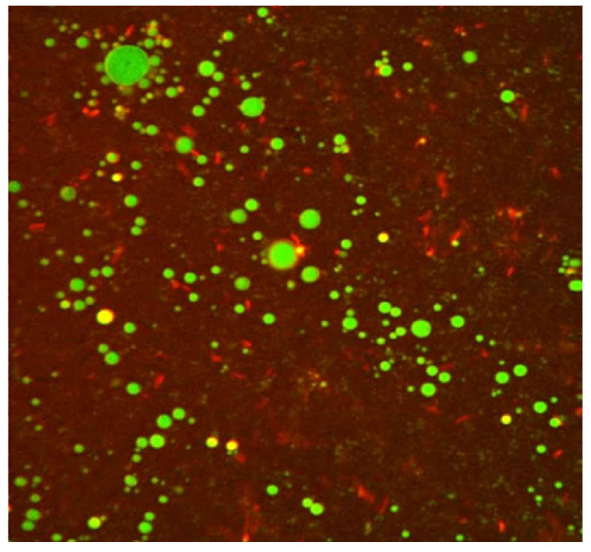 Colloids 06 00079 g002 Colloids 06 00079 g002