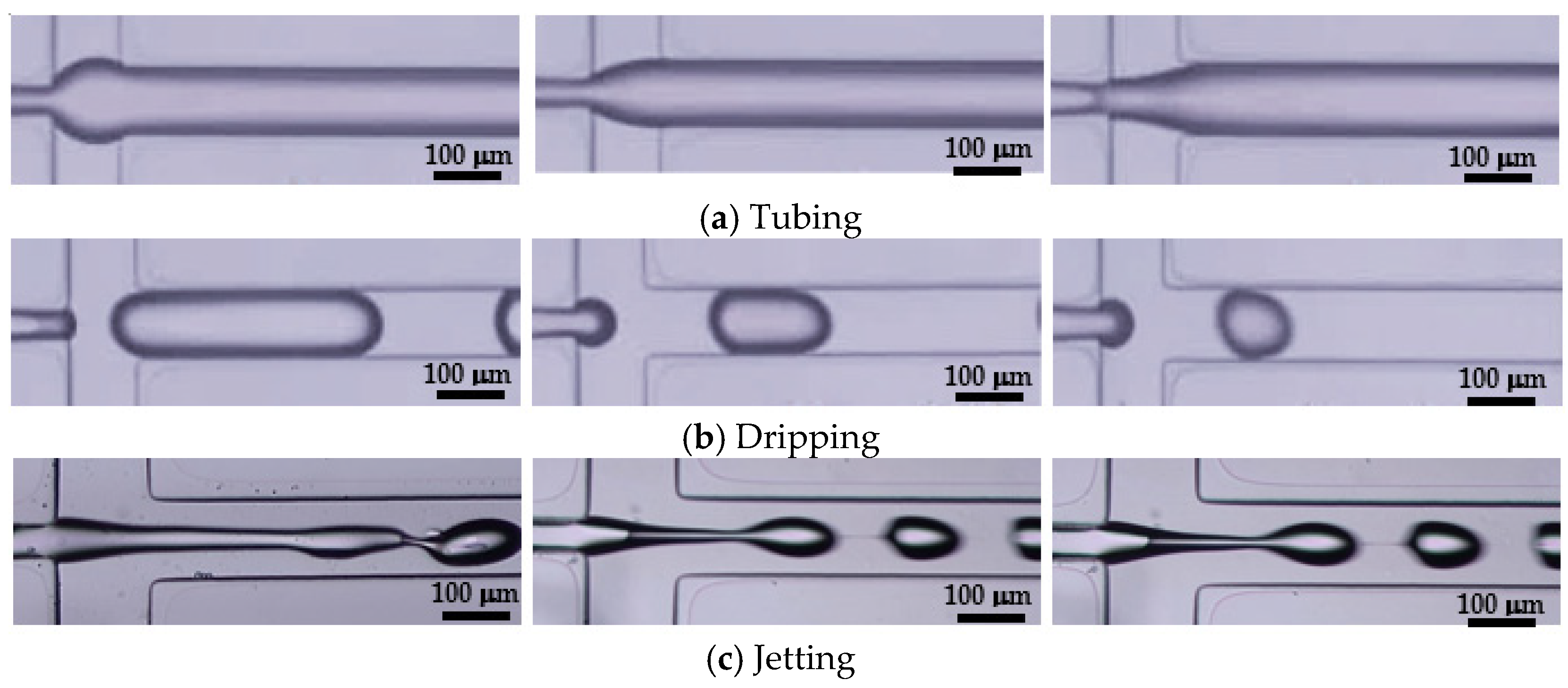 Colloids 07 00017 g002 Colloids 07 00017 g002