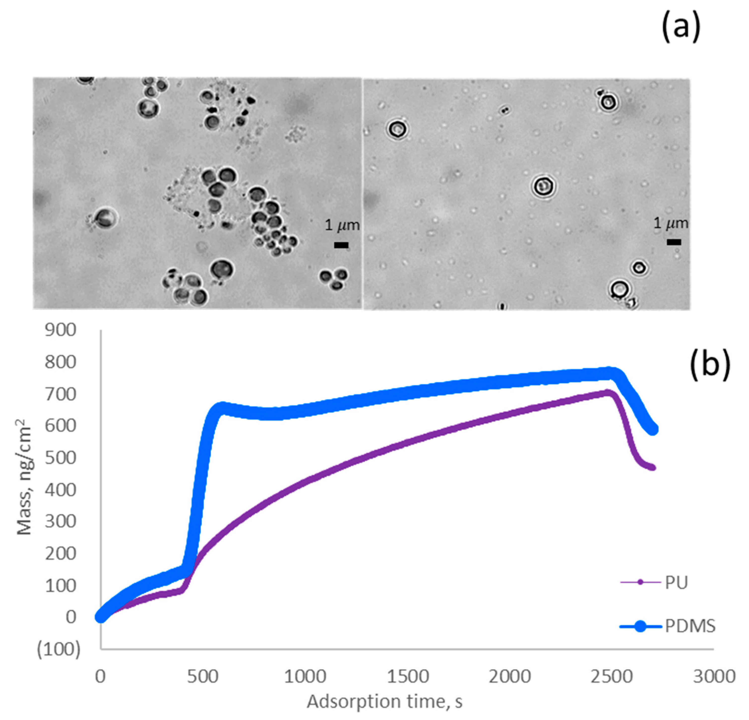 Colloids 07 00024 g002a Colloids 07 00024 g002a