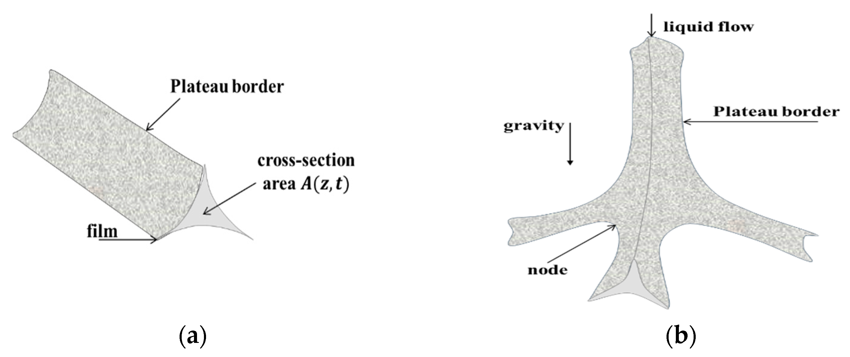 Colloids 07 00047 g001 Colloids 07 00047 g001