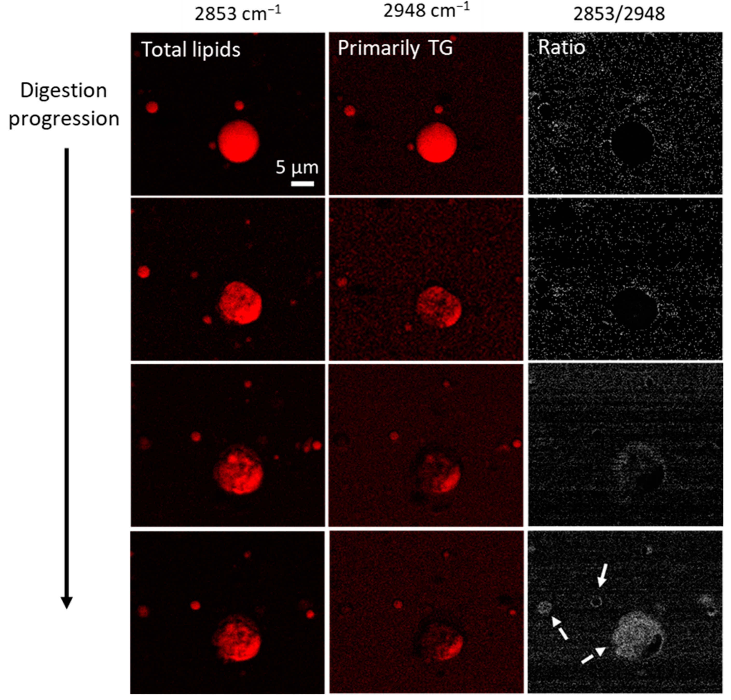 Colloids 07 00056 g005