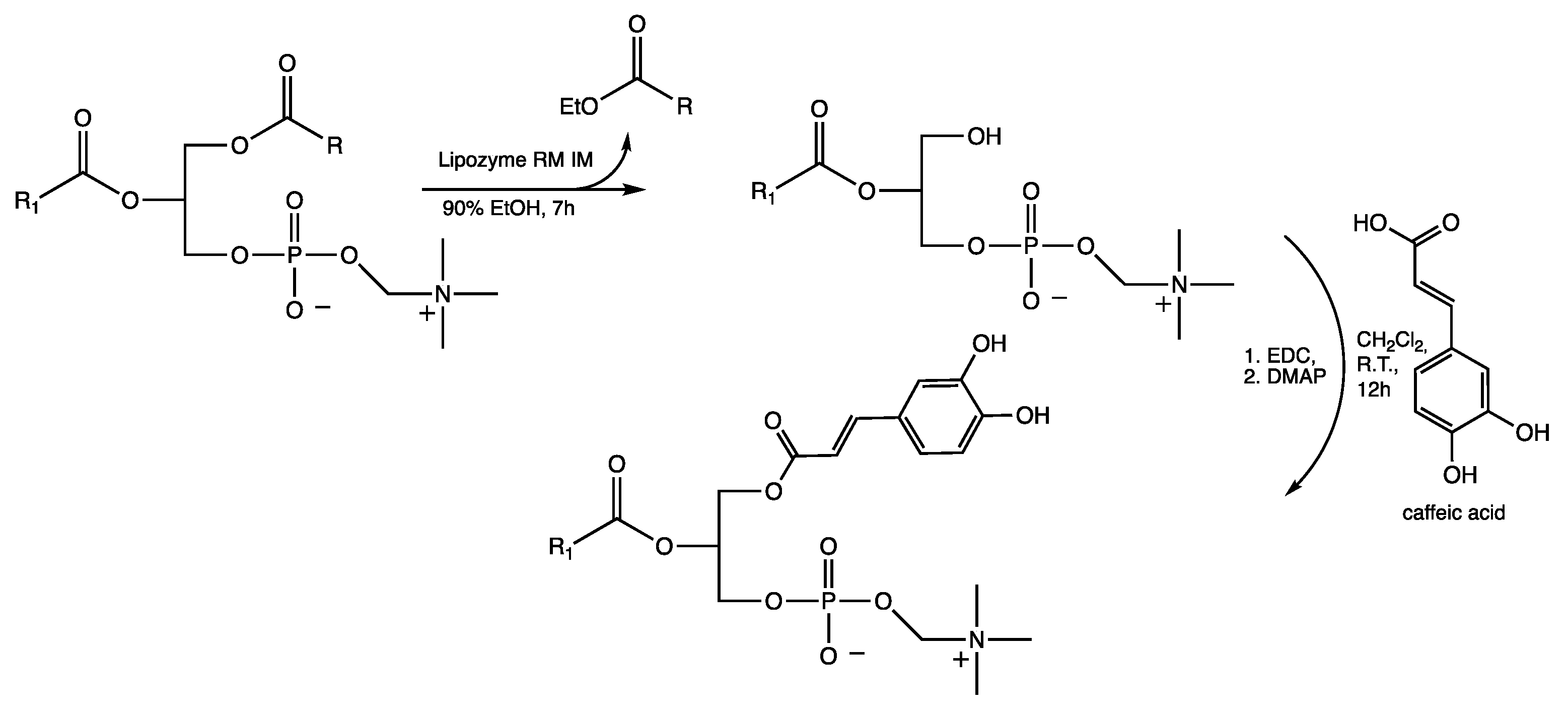Colloids 07 00060 g001