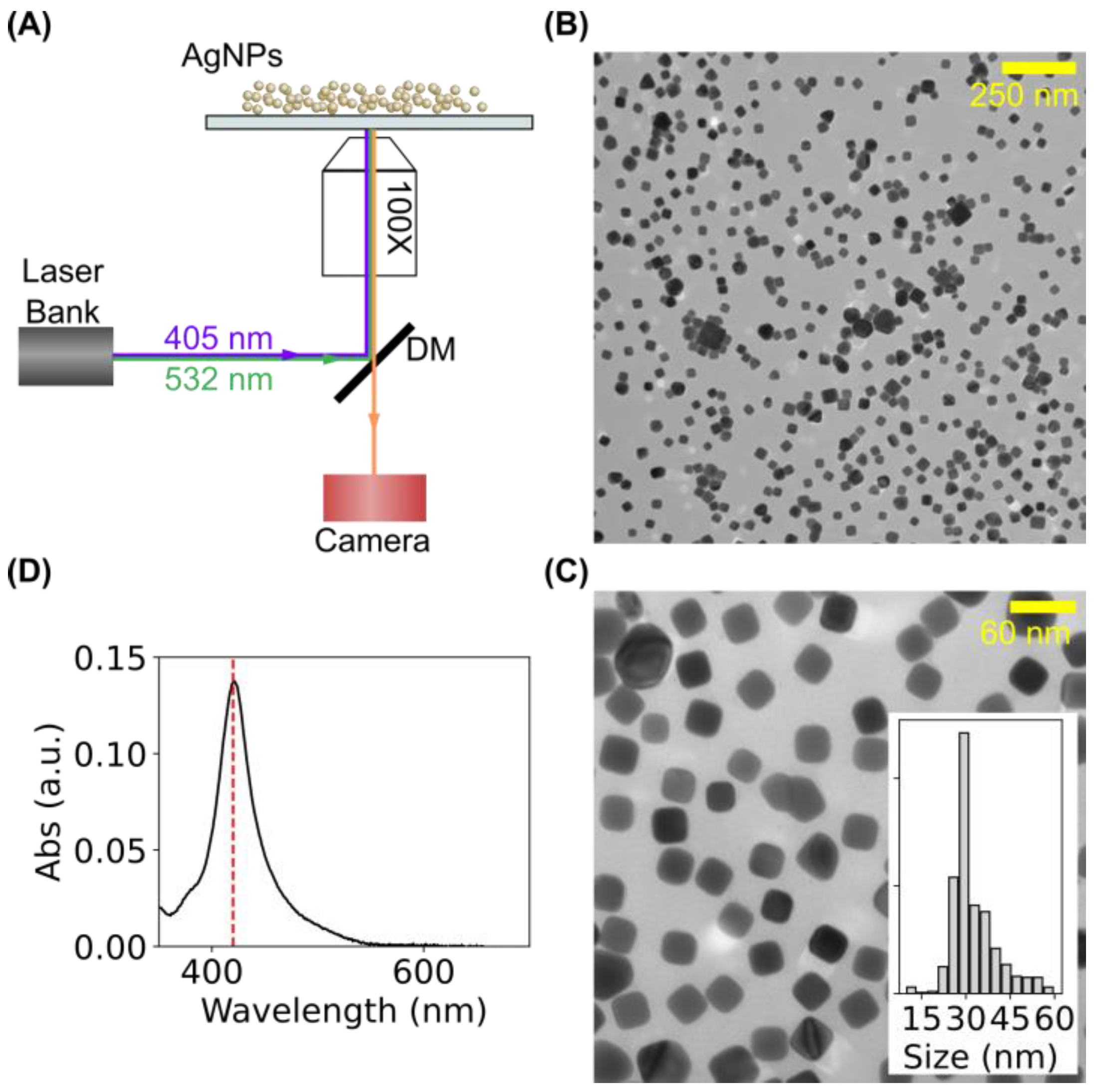 Colloids 07 00067 g001 Colloids 07 00067 g001
