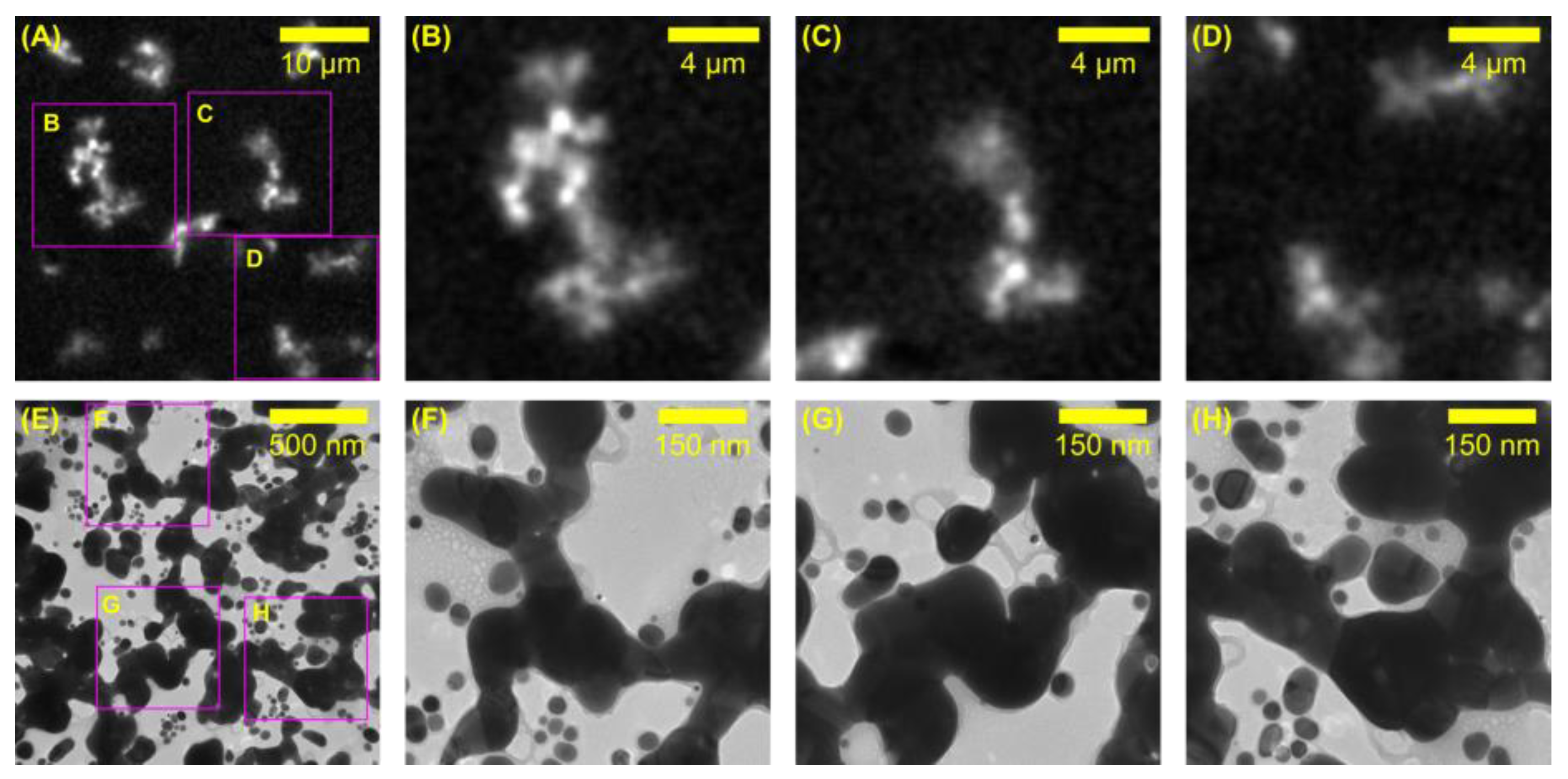 Colloids 07 00067 g002 Colloids 07 00067 g002