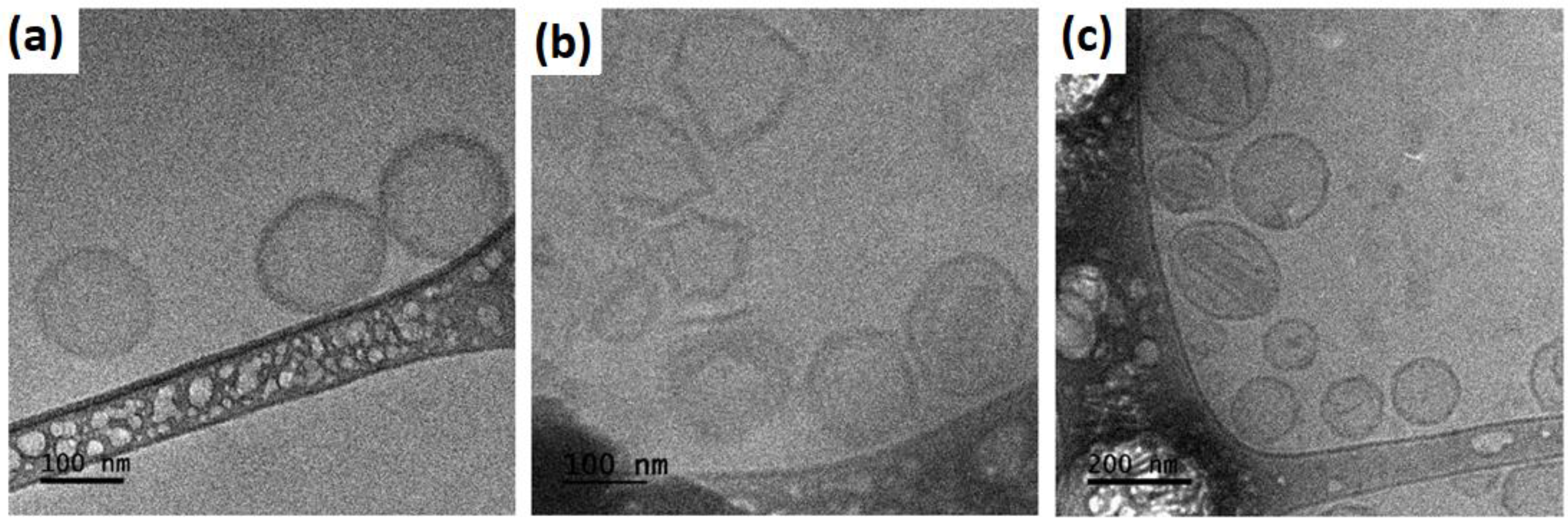 Colloids 08 00042 g004