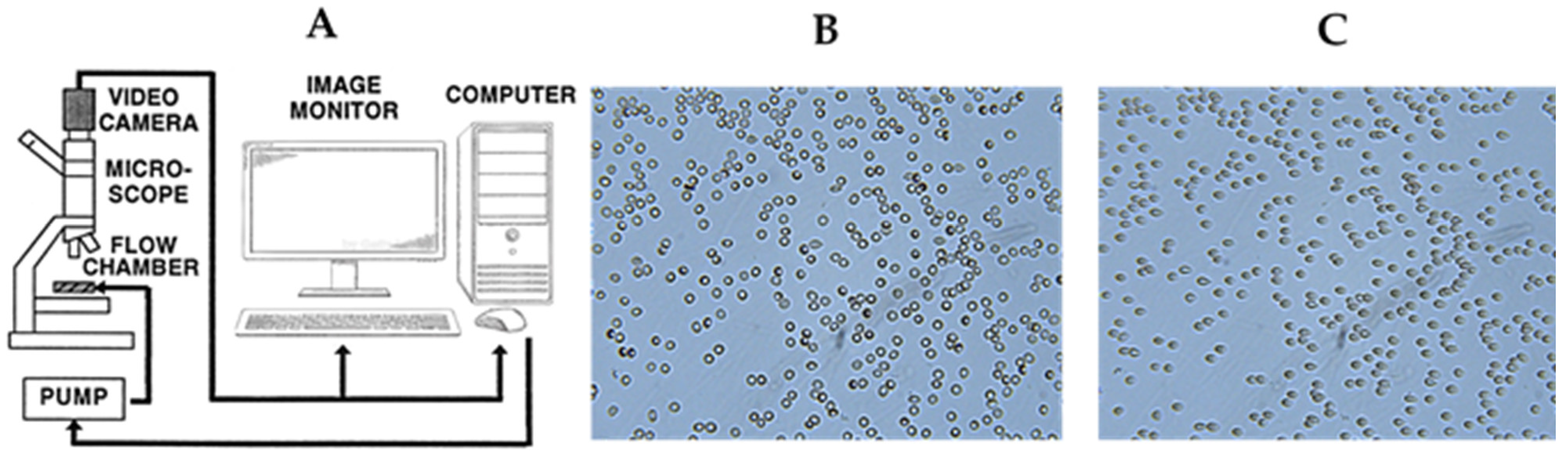 Colloids 08 00047 g002 Colloids 08 00047 g002