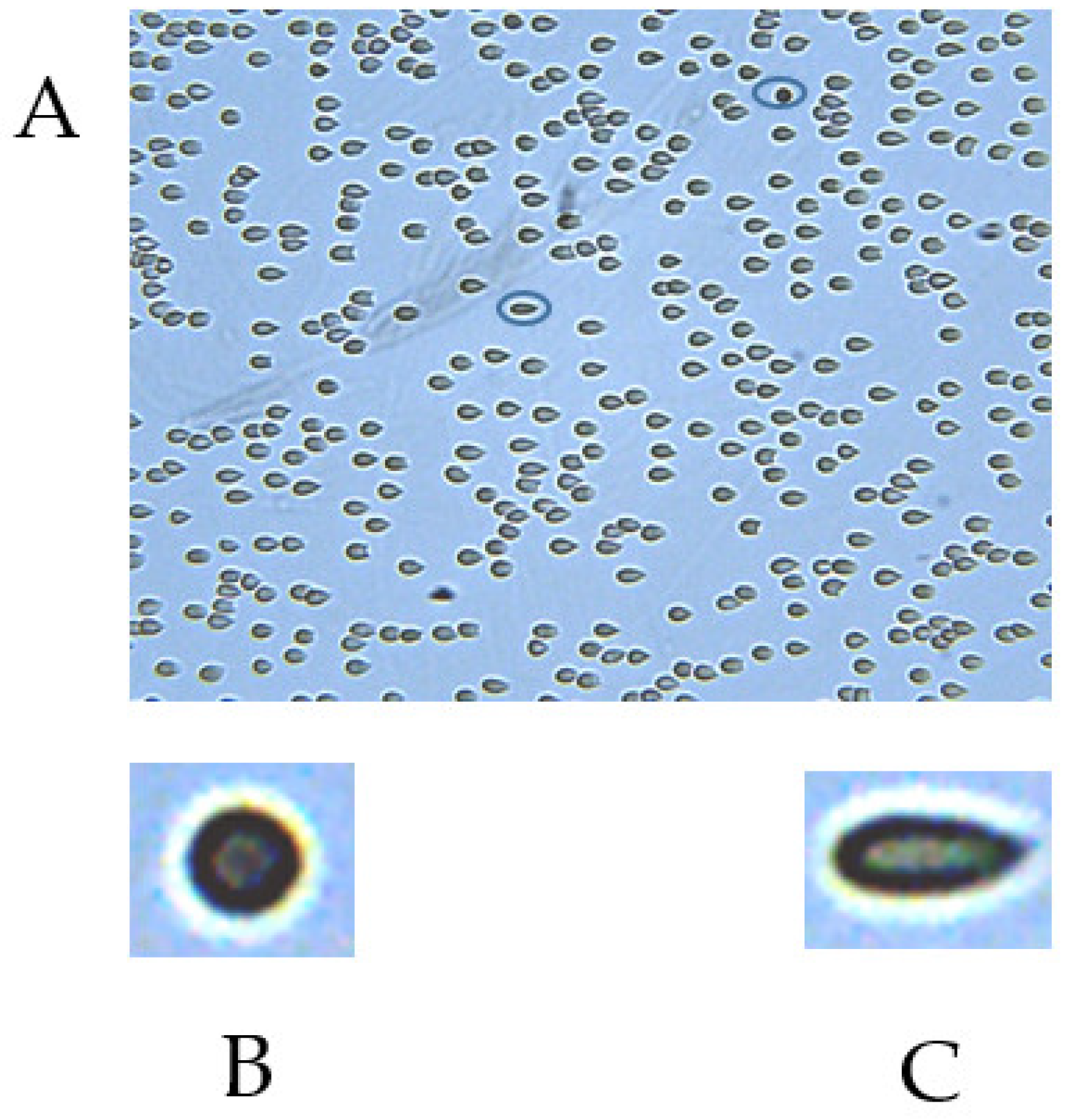 Colloids 08 00047 g003 Colloids 08 00047 g003