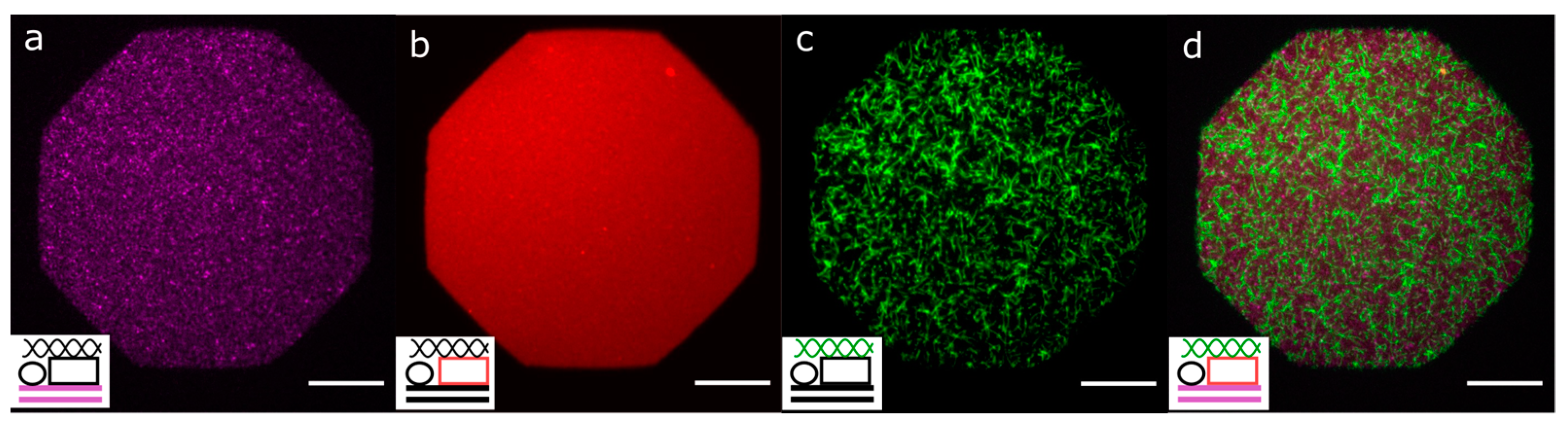 Colloids 08 00054 g007 Colloids 08 00054 g007
