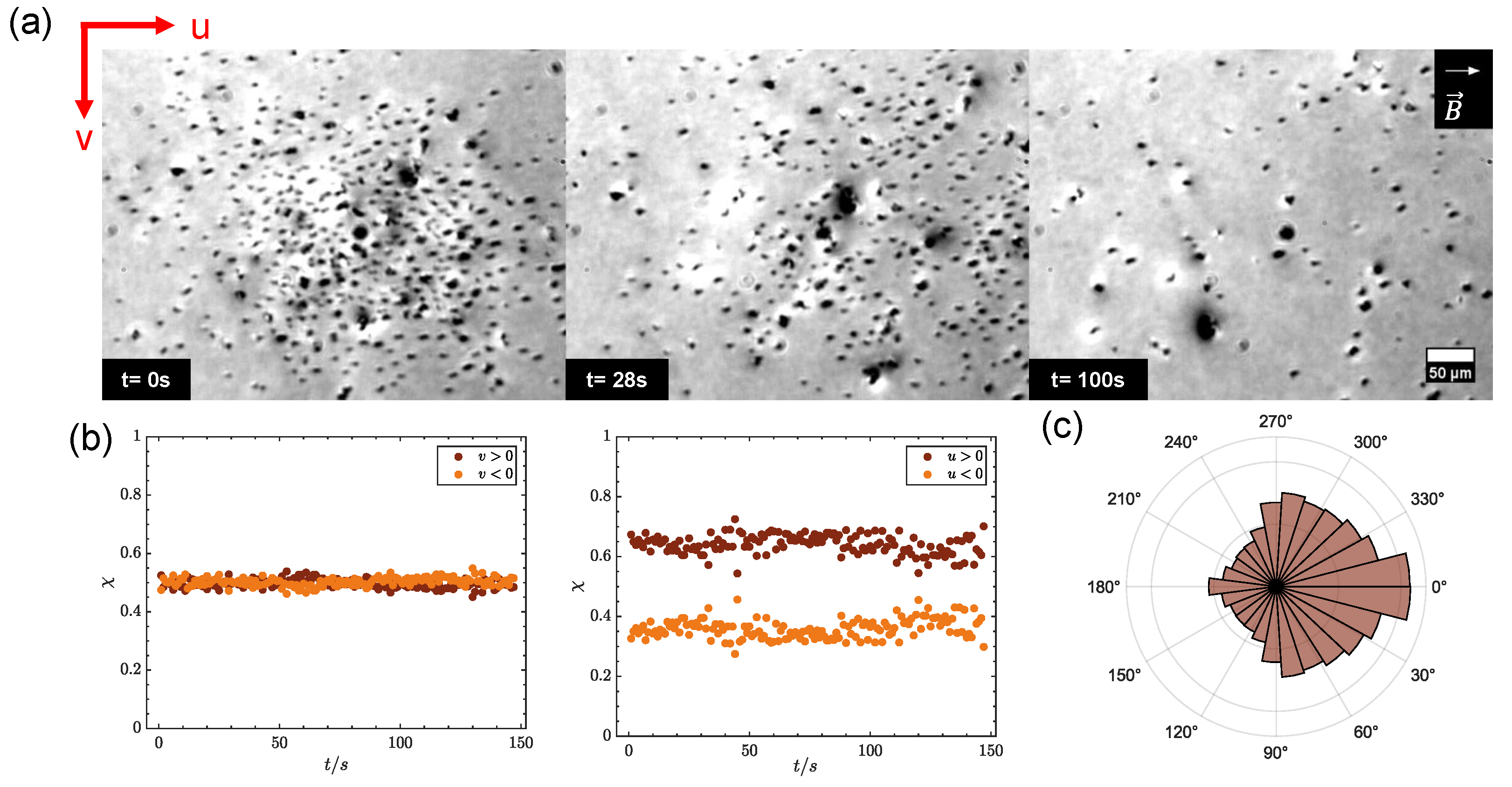 Colloids 09 00027 g006 Colloids 09 00027 g006