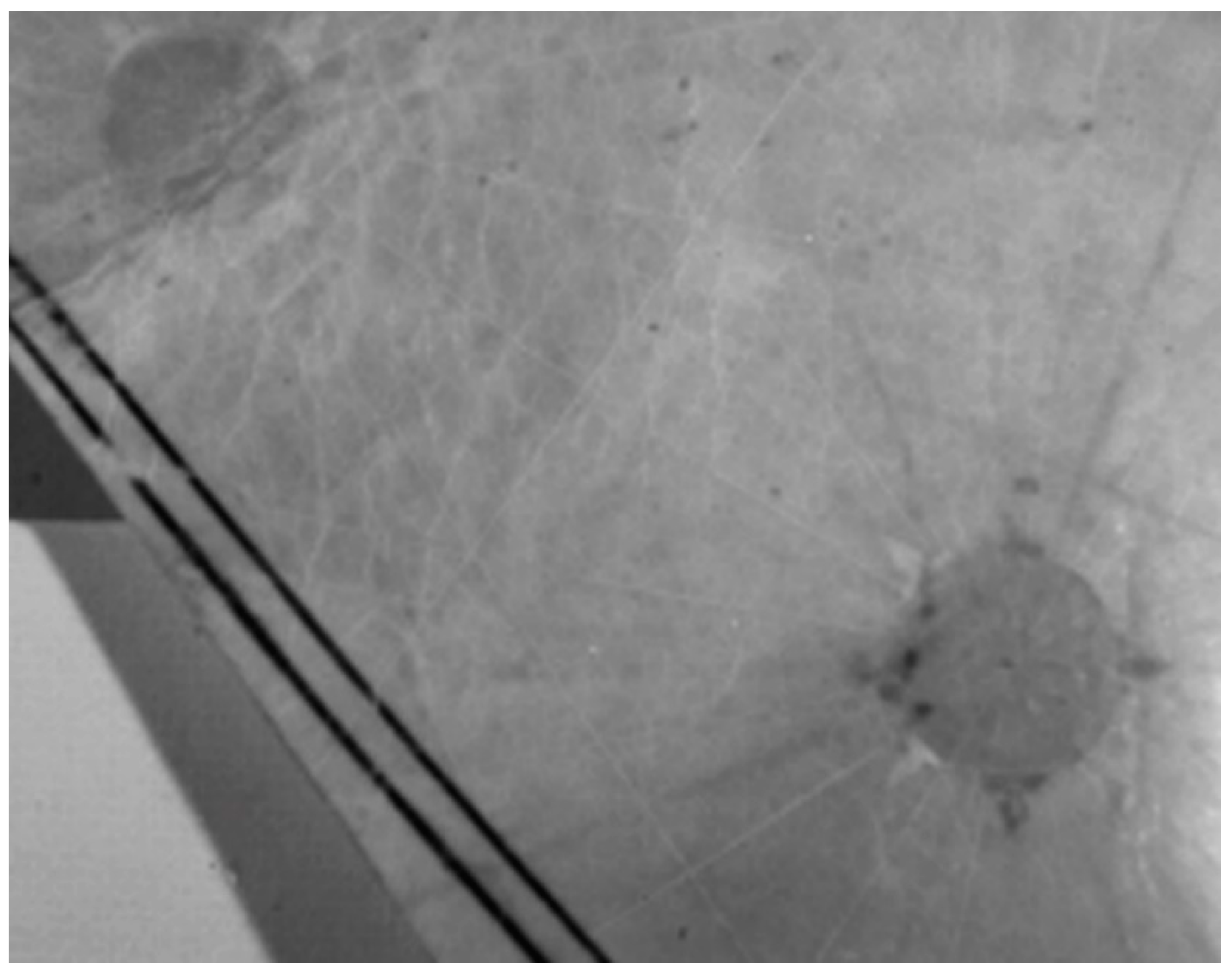 Colorants 01 00026 g004 Colorants 01 00026 g004