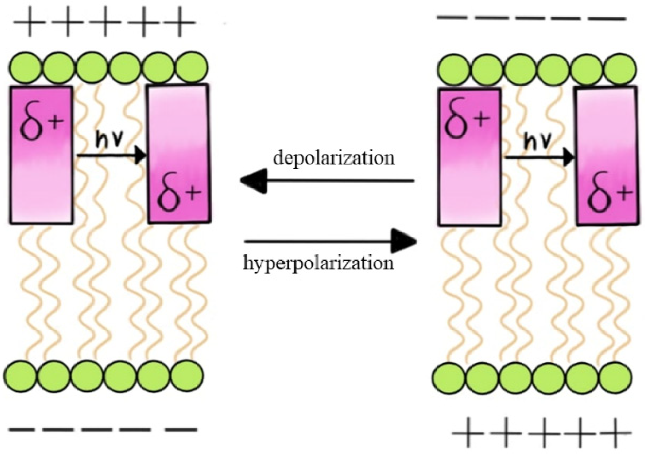 Colorants 03 00025 g001