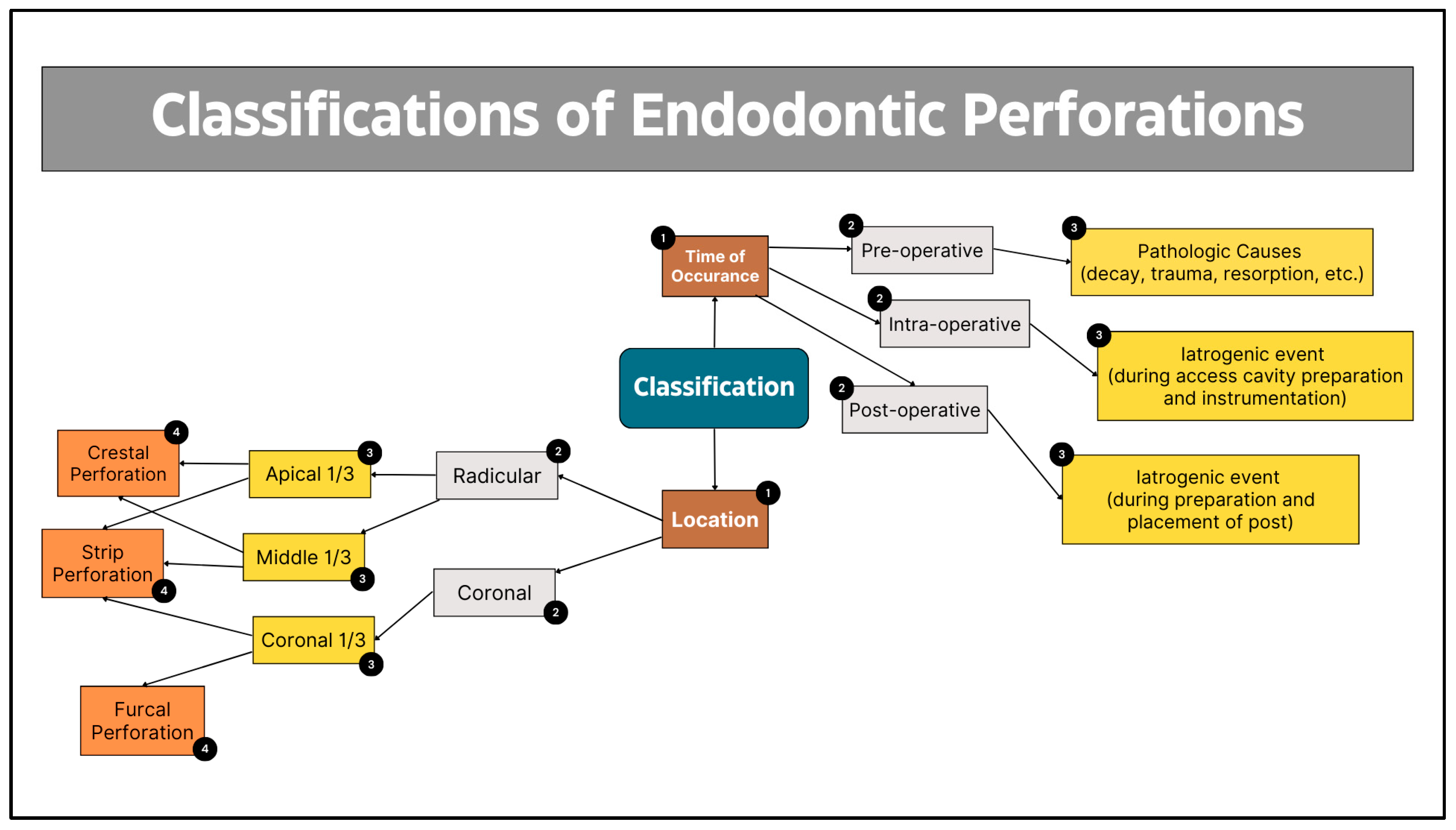 Complications 02 00017 g001