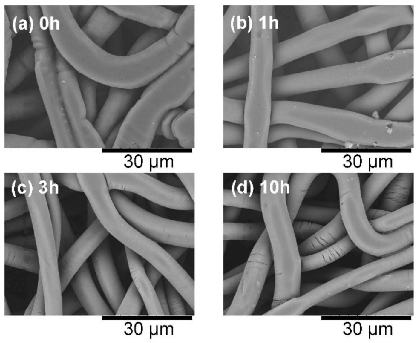 Compounds 01 00007 g006