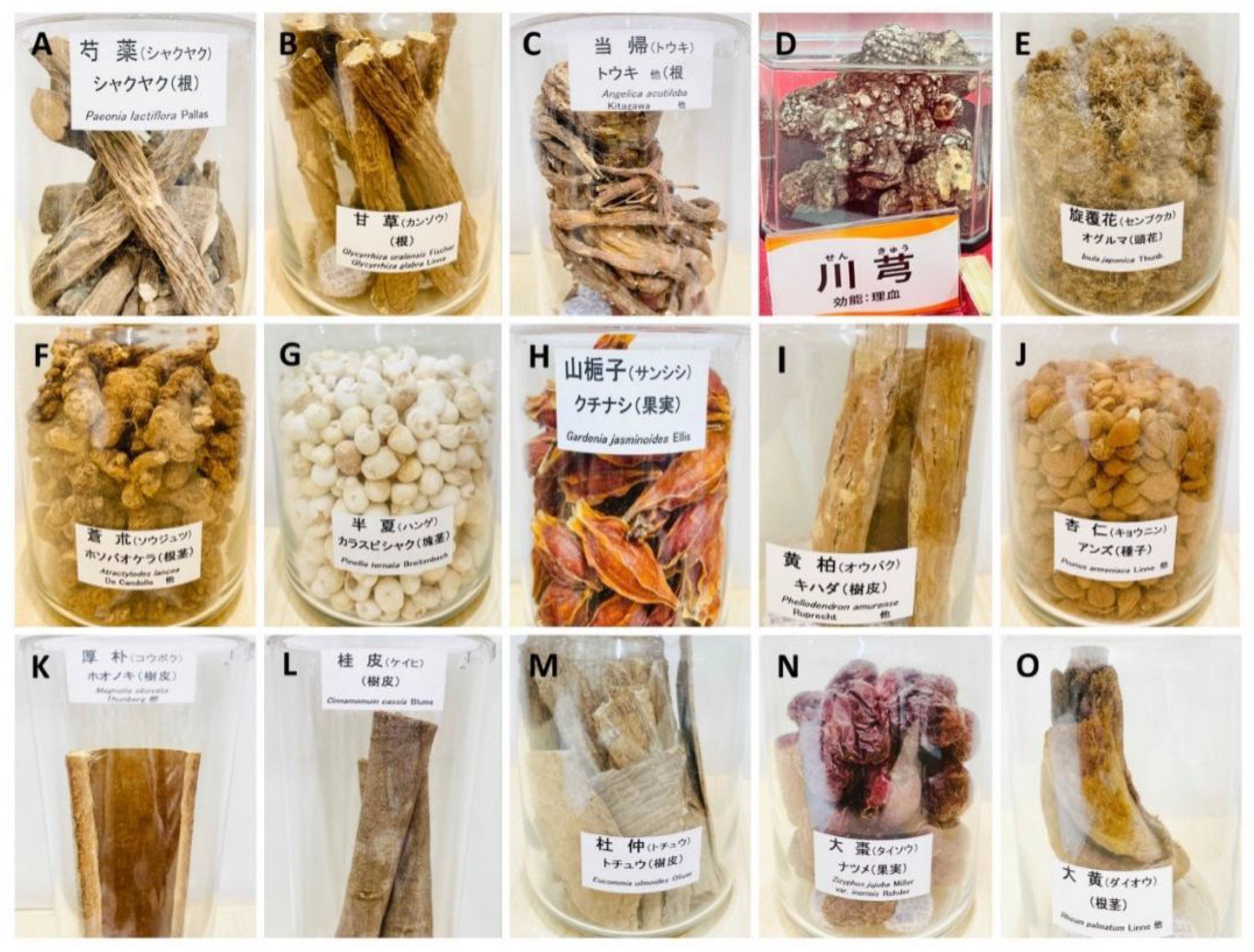 Compounds 02 00022 g004 Compounds 02 00022 g004