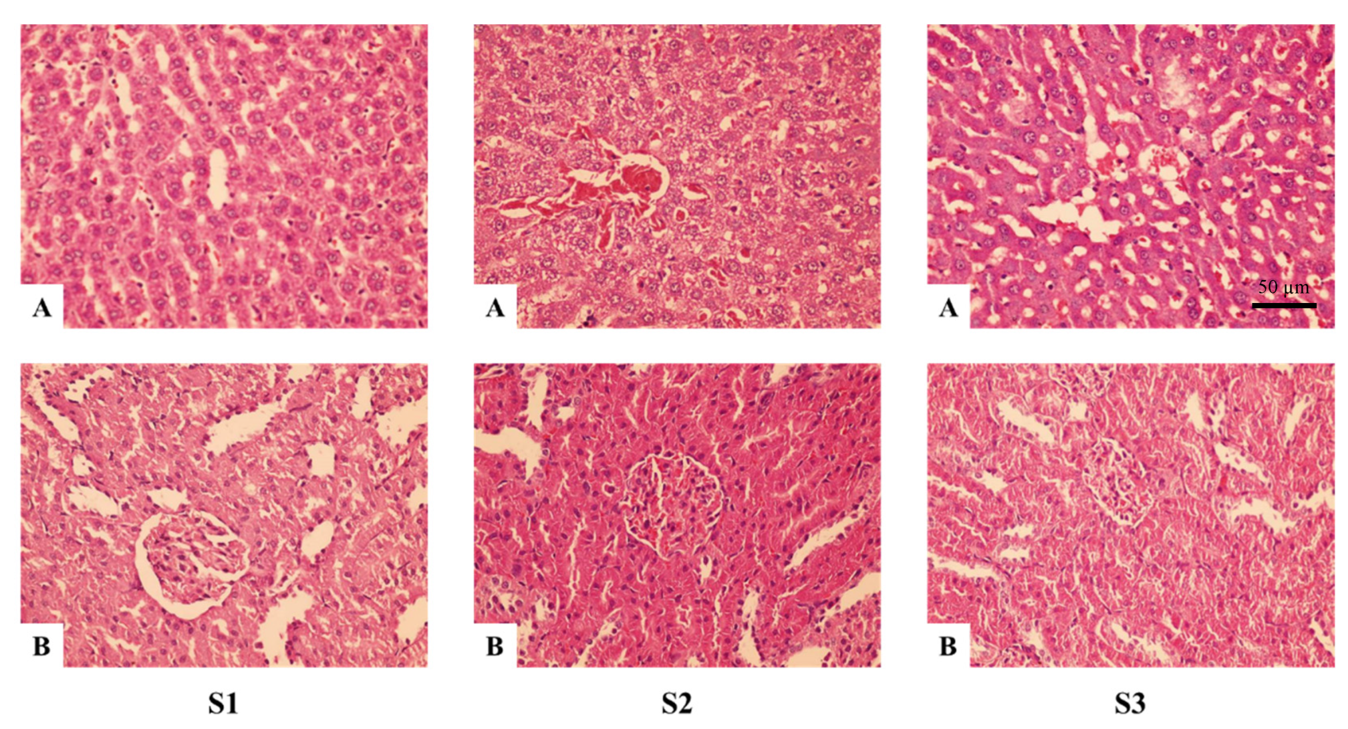 Compounds 02 00032 g001 Compounds 02 00032 g001