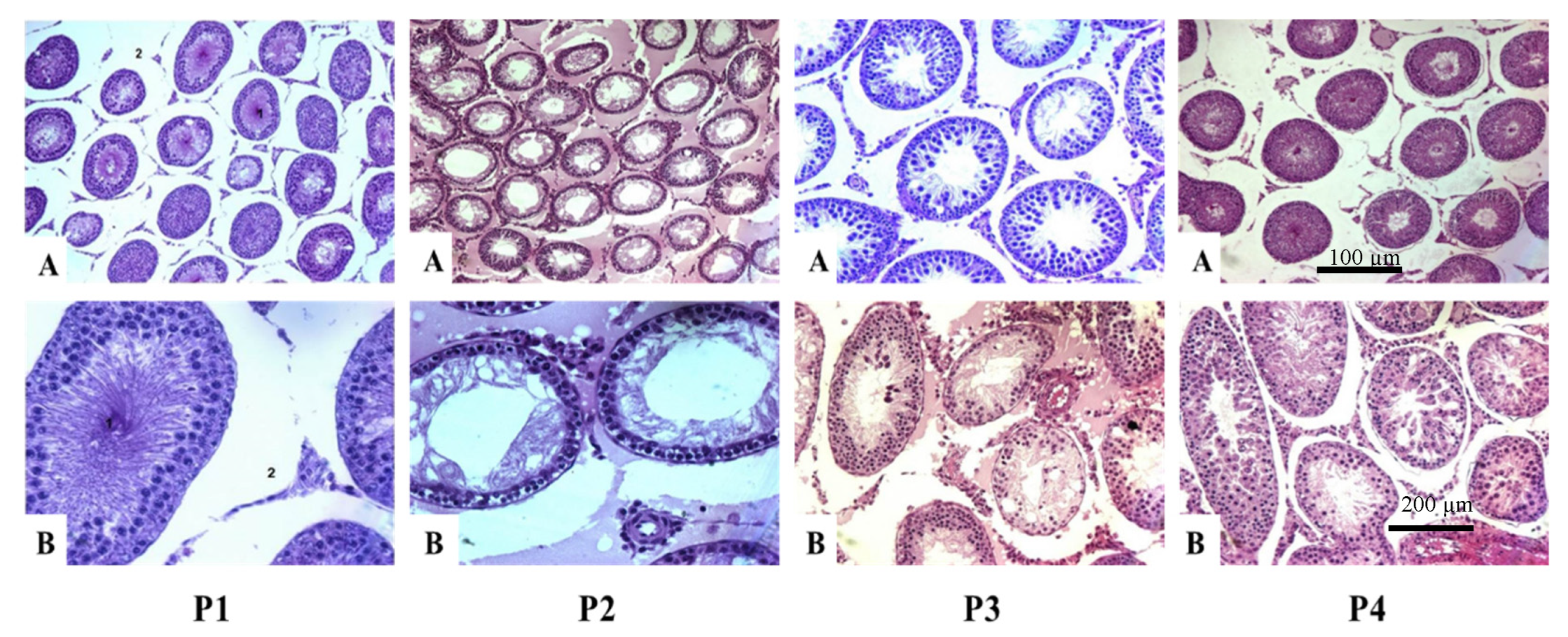 Compounds 02 00032 g002 Compounds 02 00032 g002