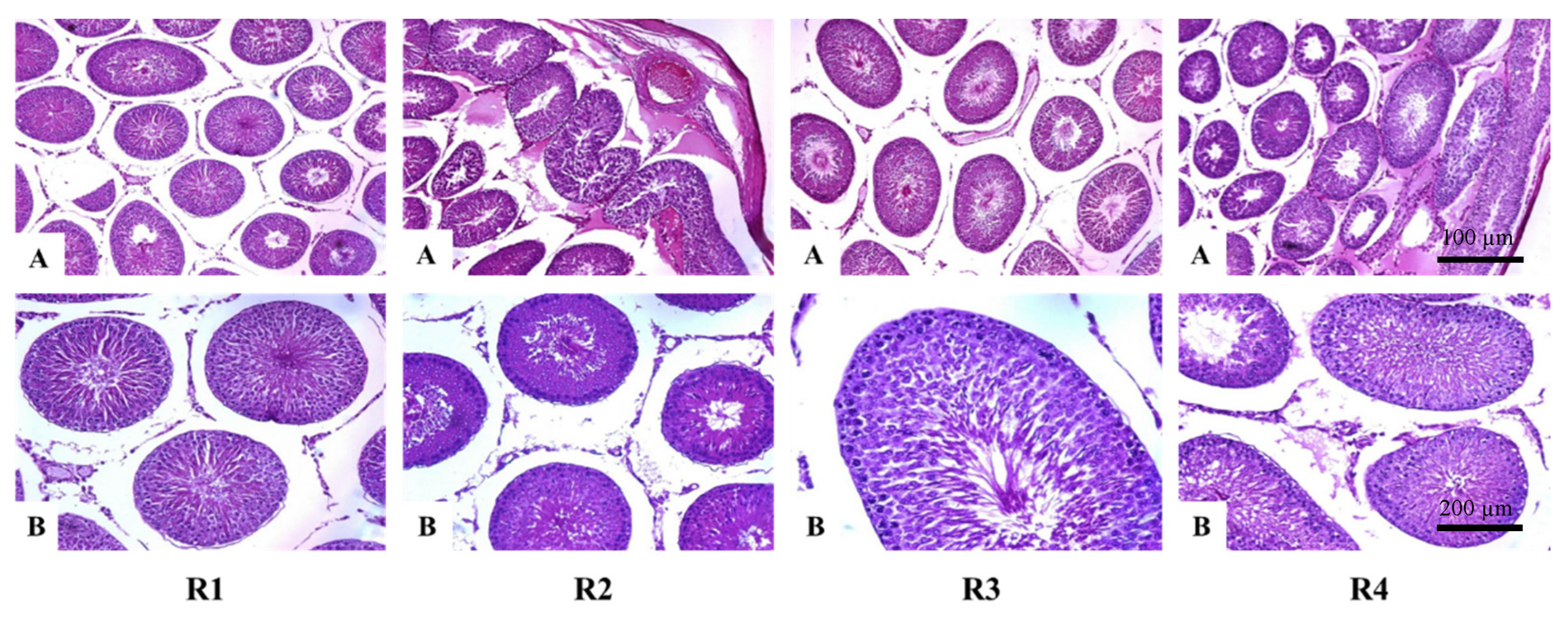 Compounds 02 00032 g004 Compounds 02 00032 g004