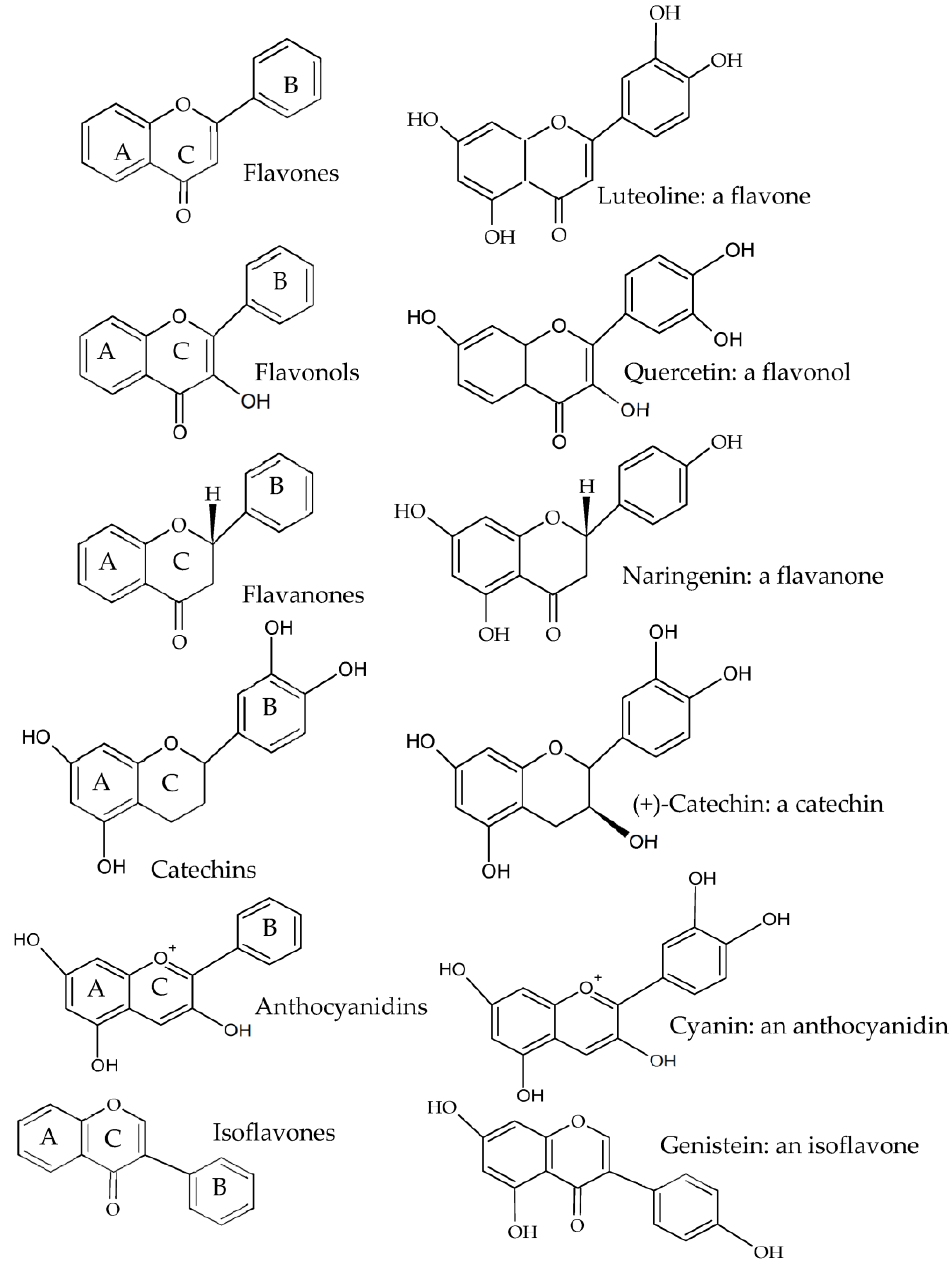 Compounds 03 00005 g002 Compounds 03 00005 g002