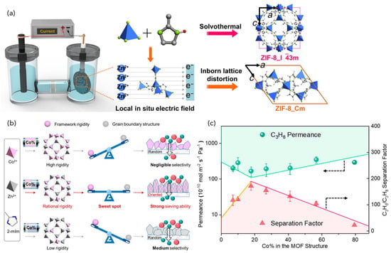 Compounds | Free Full-Text | Recent Progress and Challenges in the 