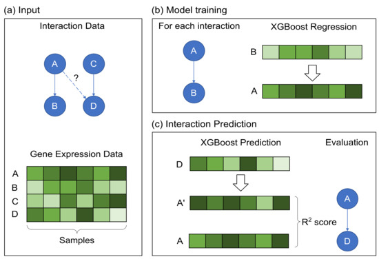 Computation Free Full Text Xgrn Reconstruction Of Biological Networks Based On Boosted Trees Regression Html