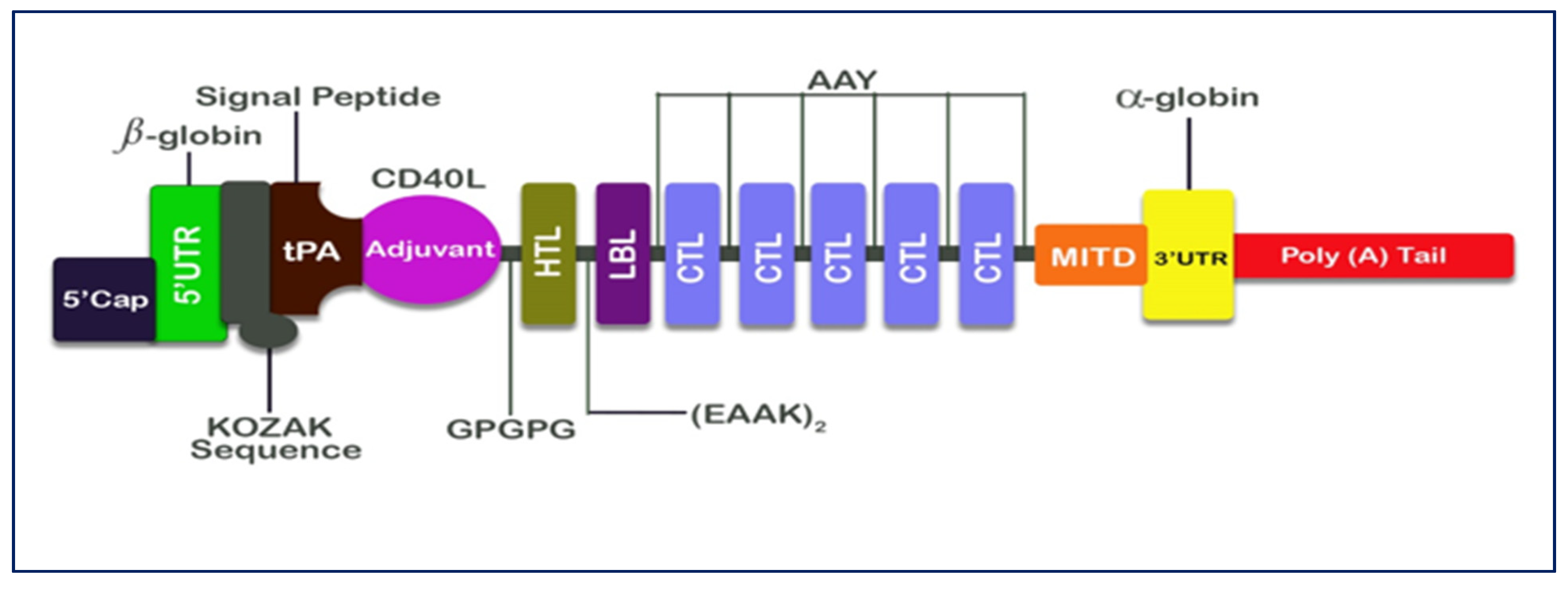 Computation 10 00117 g003 Computation 10 00117 g003