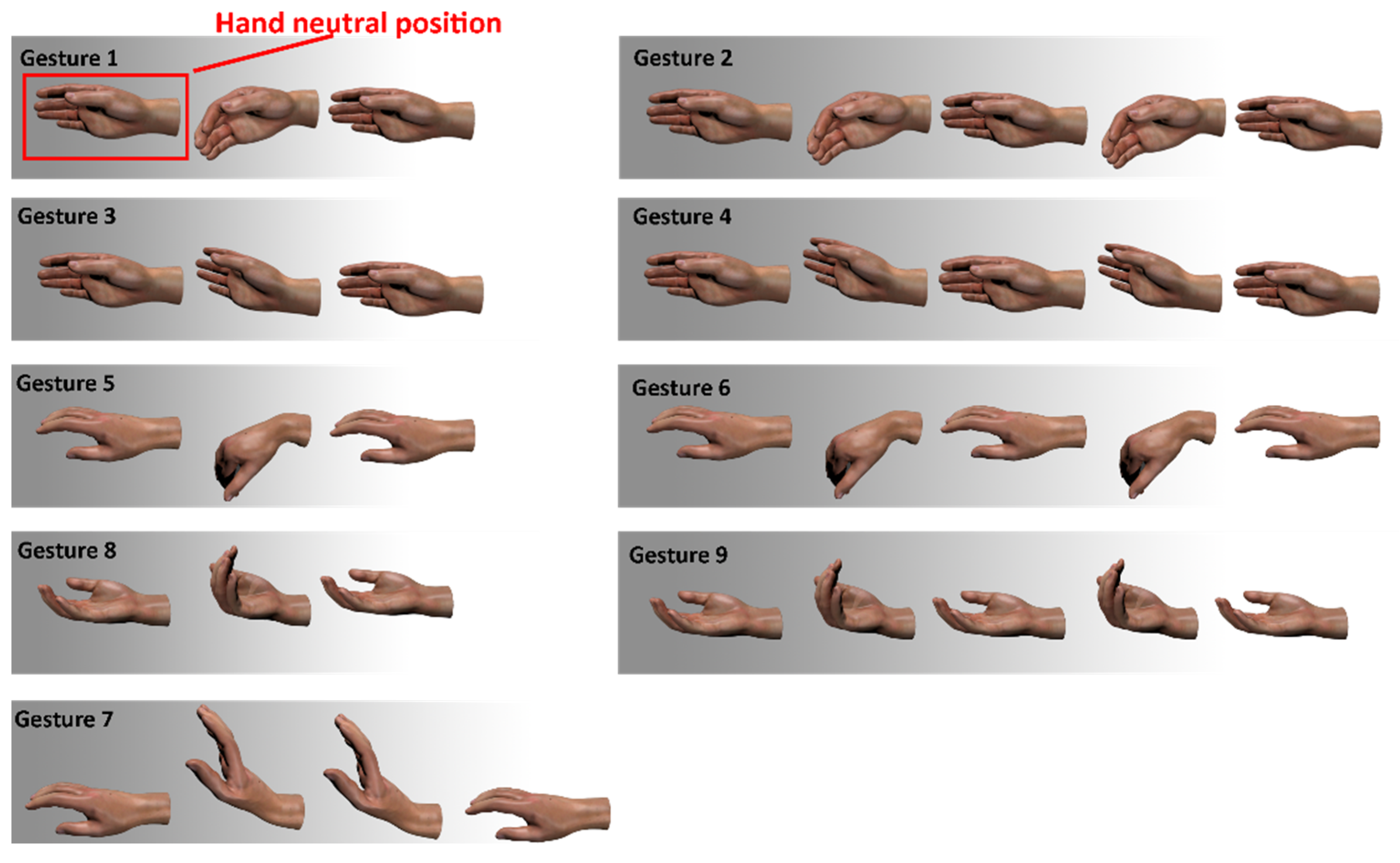Variety Of Hands In Different Poses And Signs On White Background Stock  Photo, Picture and Royalty Free Image. Image 5013467.