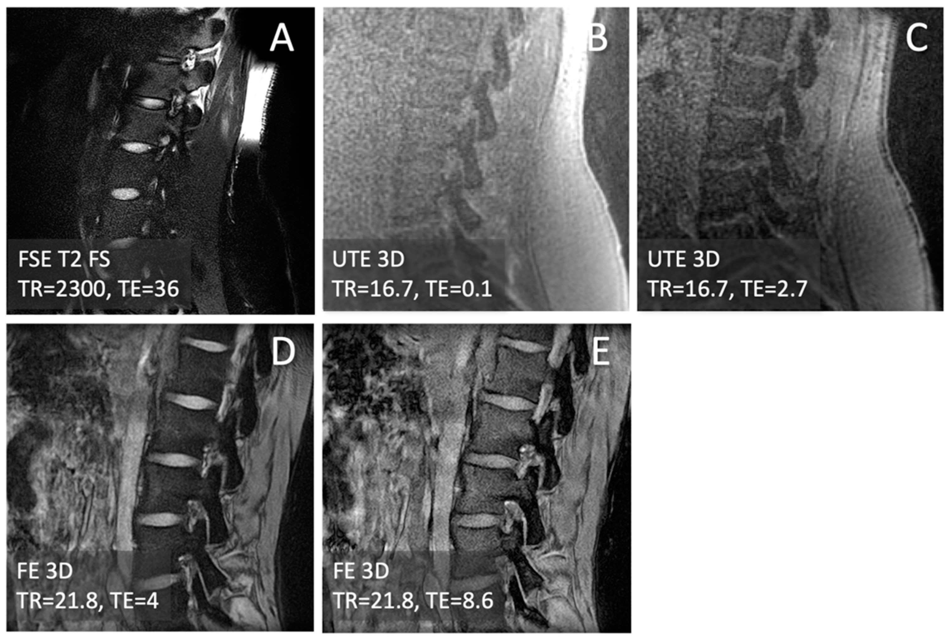 Computation 12 00152 g001
