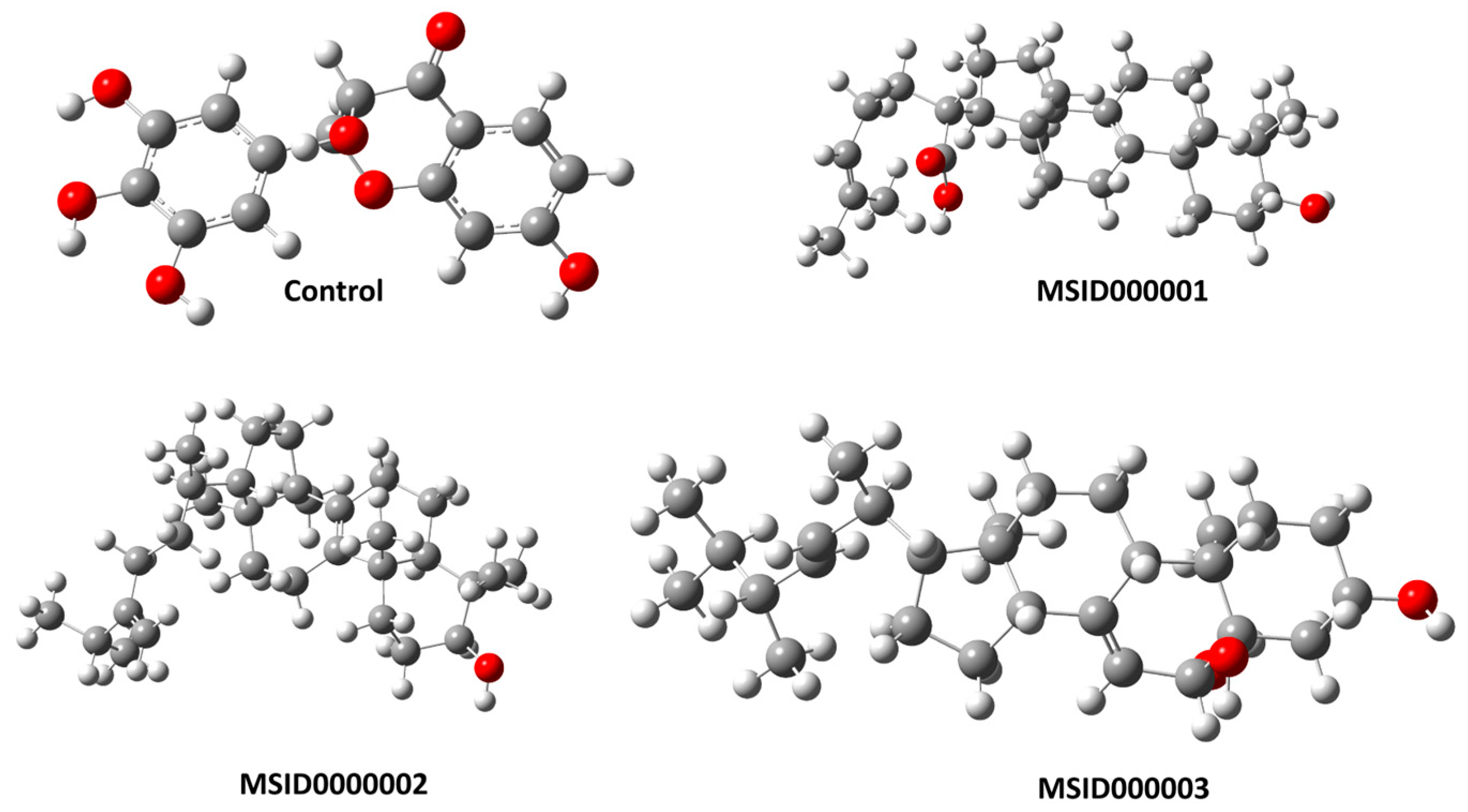 Computation 12 00153 g005