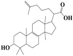 Computation 12 00153 i001