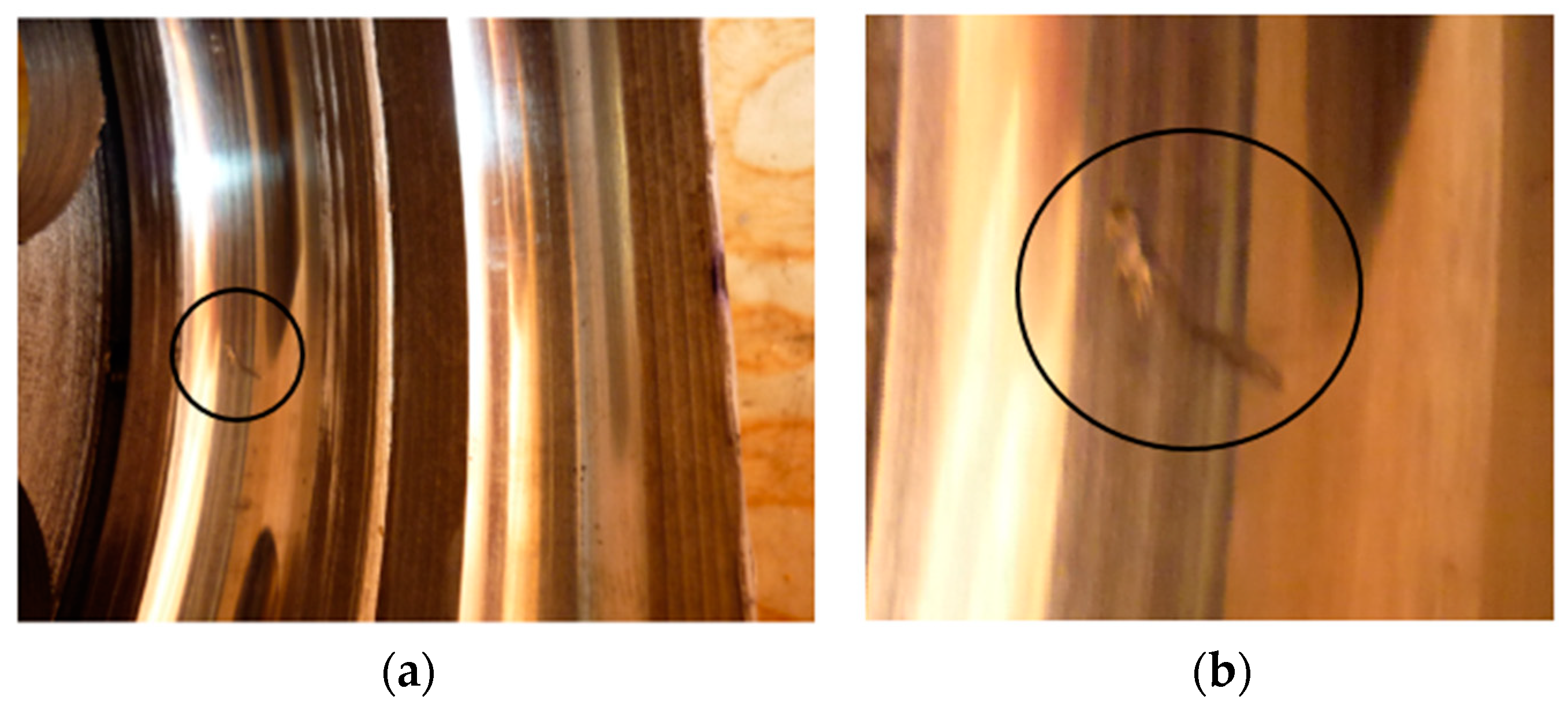 Computation 12 00181 g021