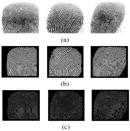 Computers | Free Full-Text | Deep Feature Fusion of Fingerprint and ...